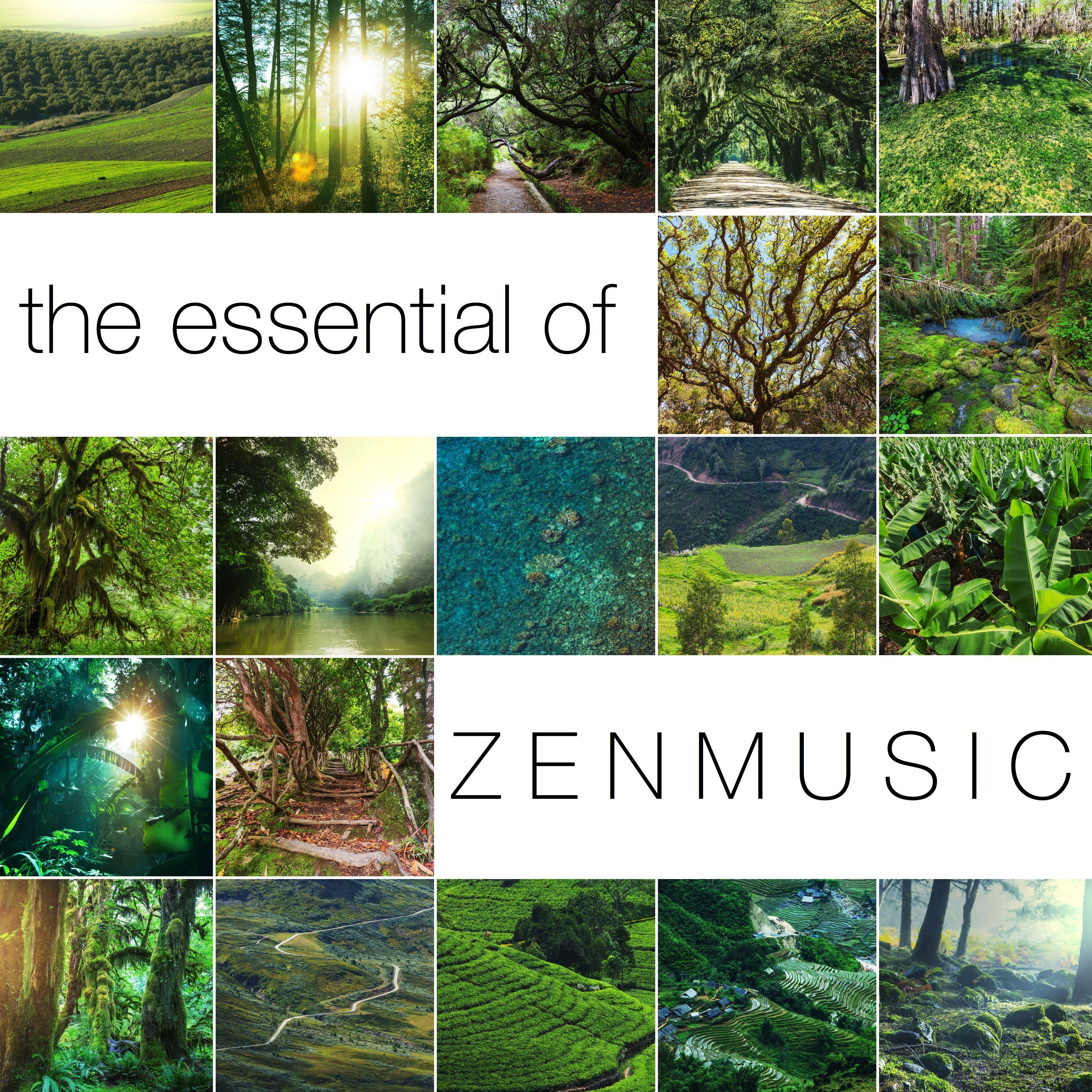 The Essential of Zen Music: Songs for Stress Release with Ocean Waves and Sound of Water