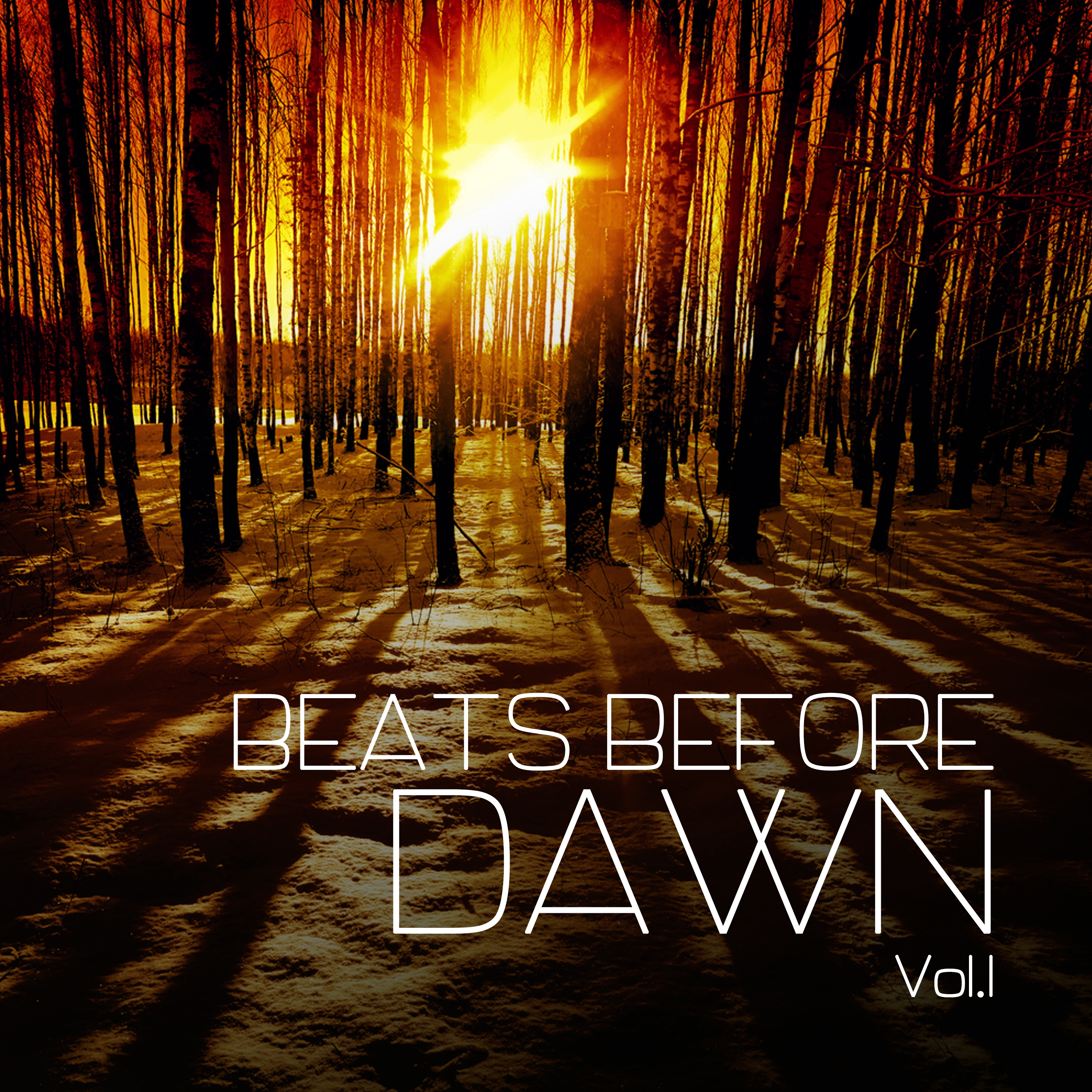 Beats Before Dawn, Vol. 1