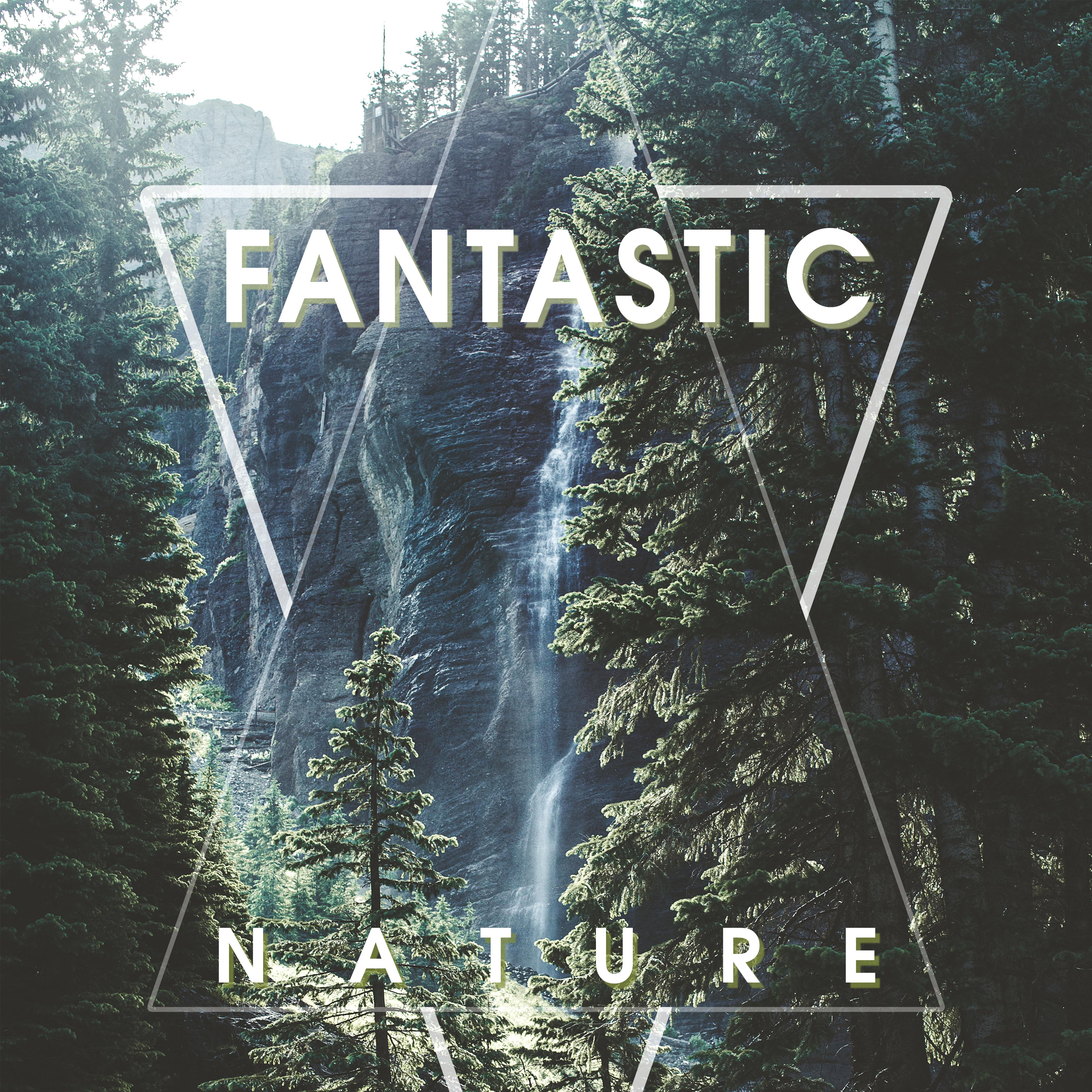 Fantastic Nature  Beautiful Natural Sounds, Soothing Sounds of Nature, Relaxing Ambient Music