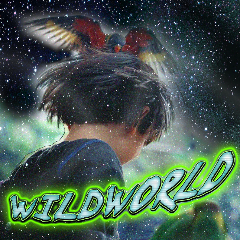 WILDWORLD