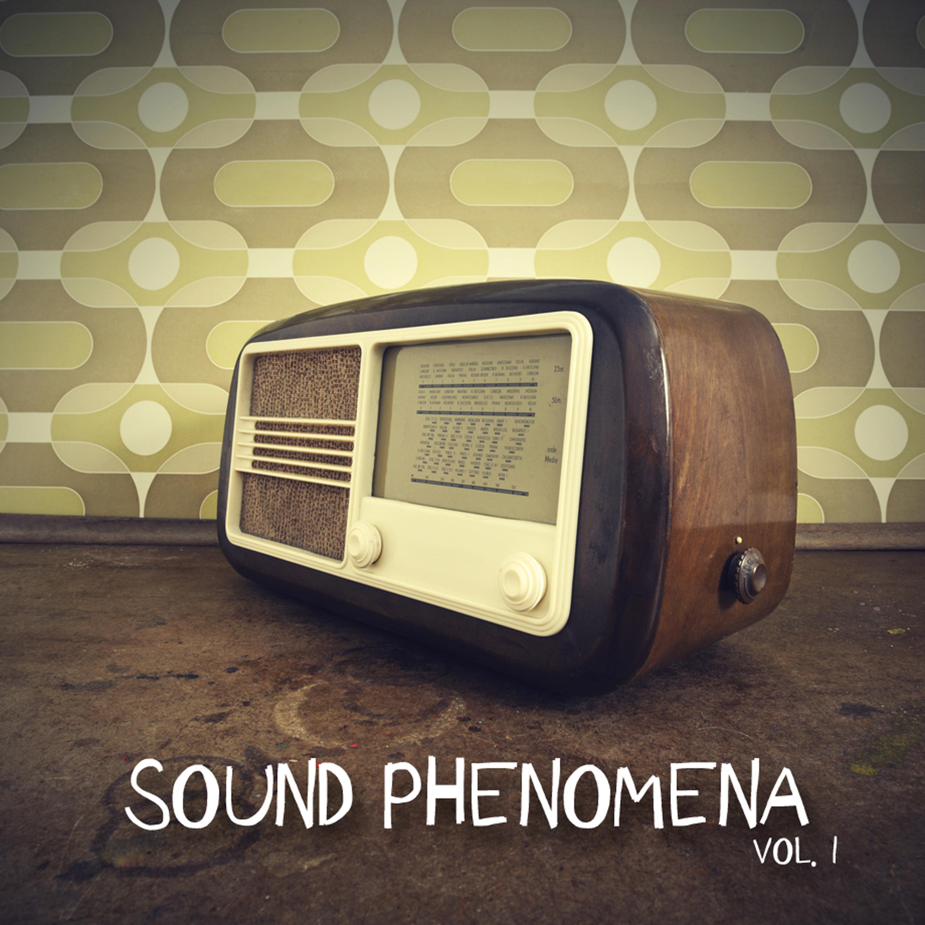 Sound Phenomena, Vol. 1
