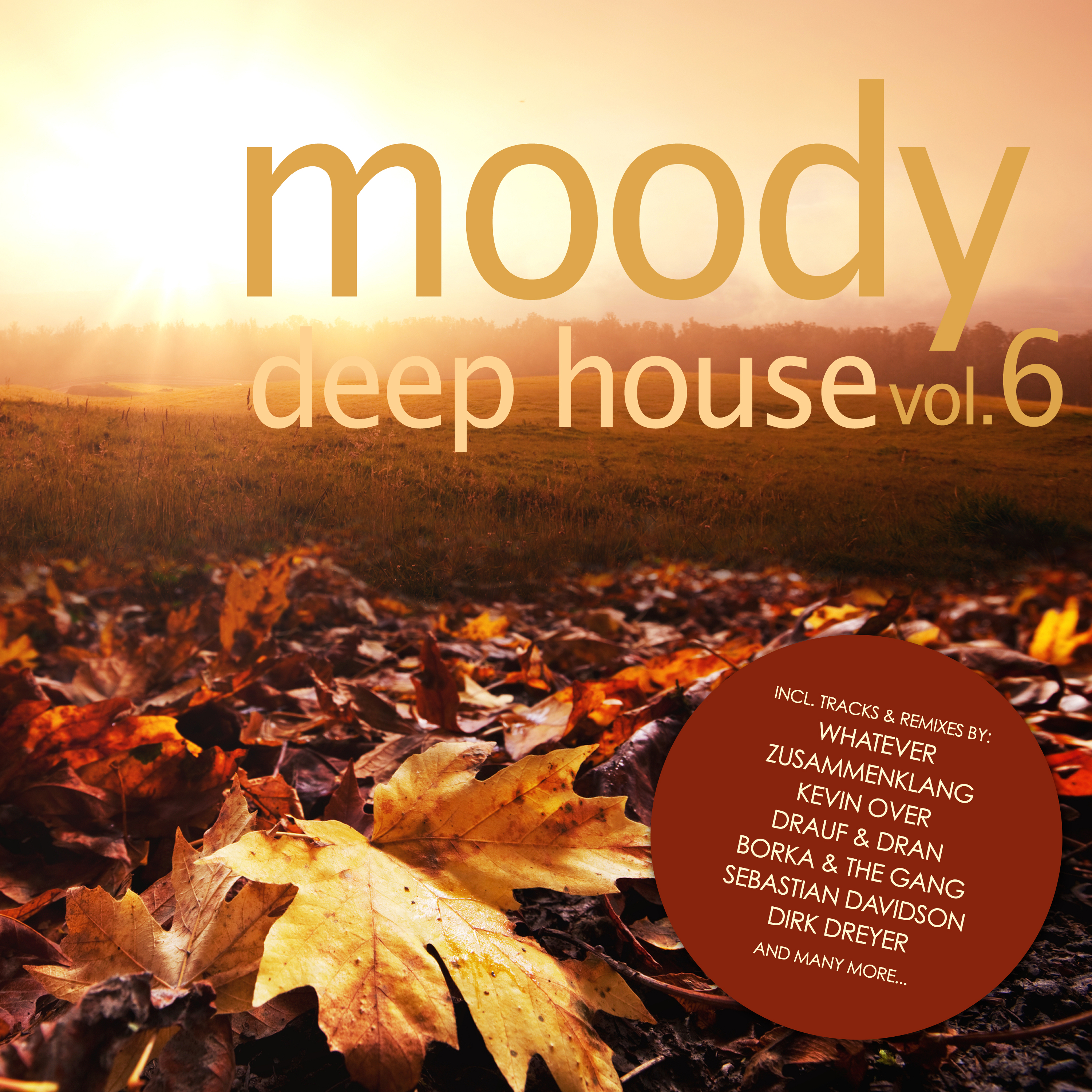 Moody Deep House, Vol. 6