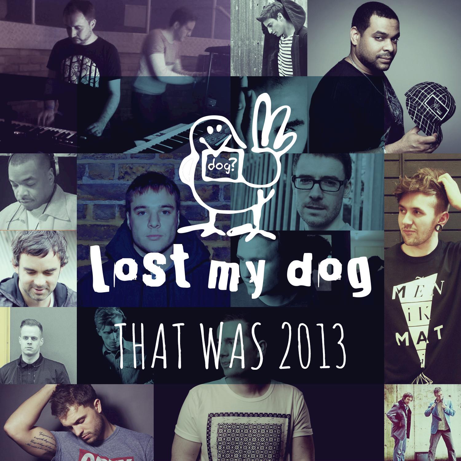 That Was 2013: Lost My Dog Records
