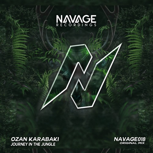 Journey In The Jungle