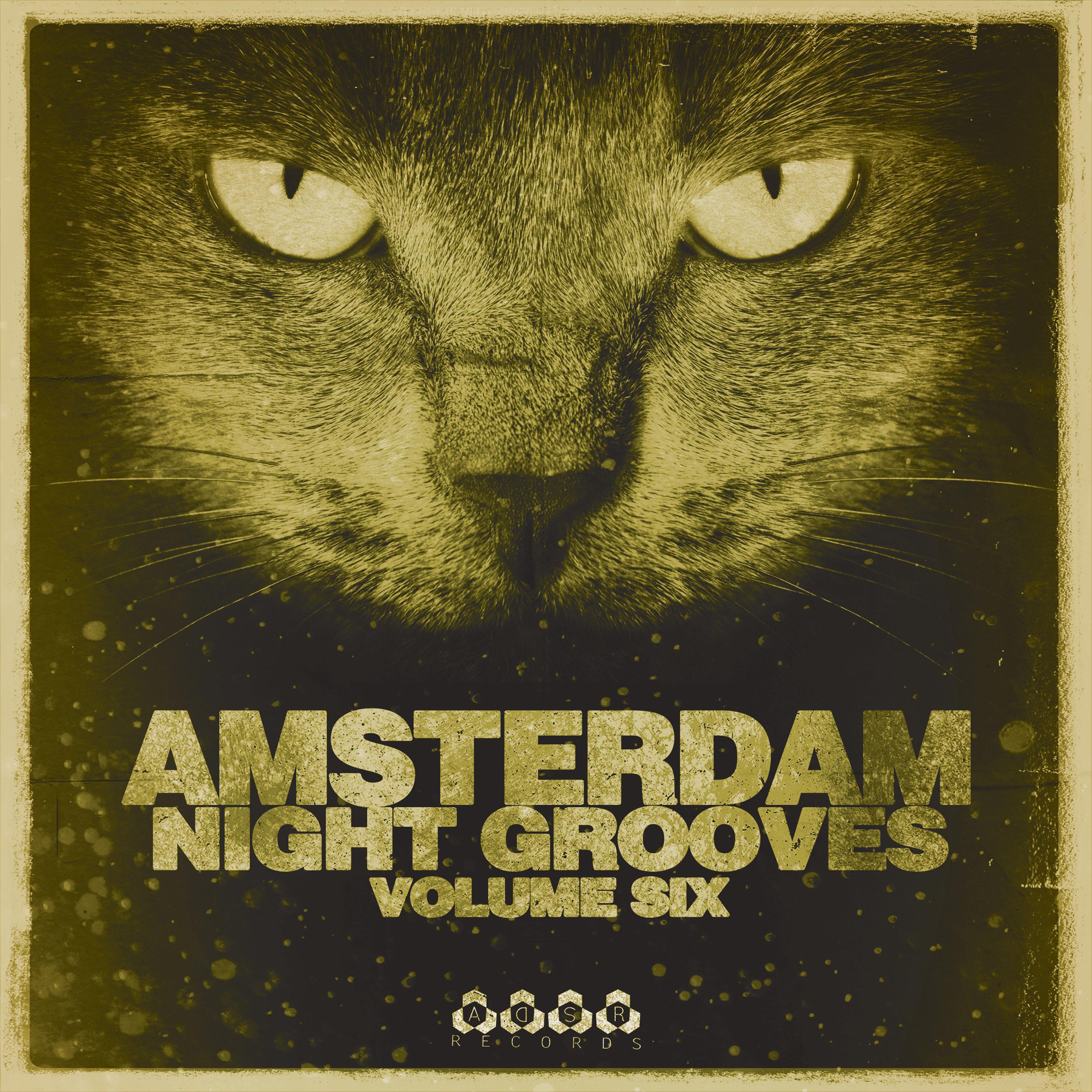 Amsterdam Night Grooves, Vol. 6