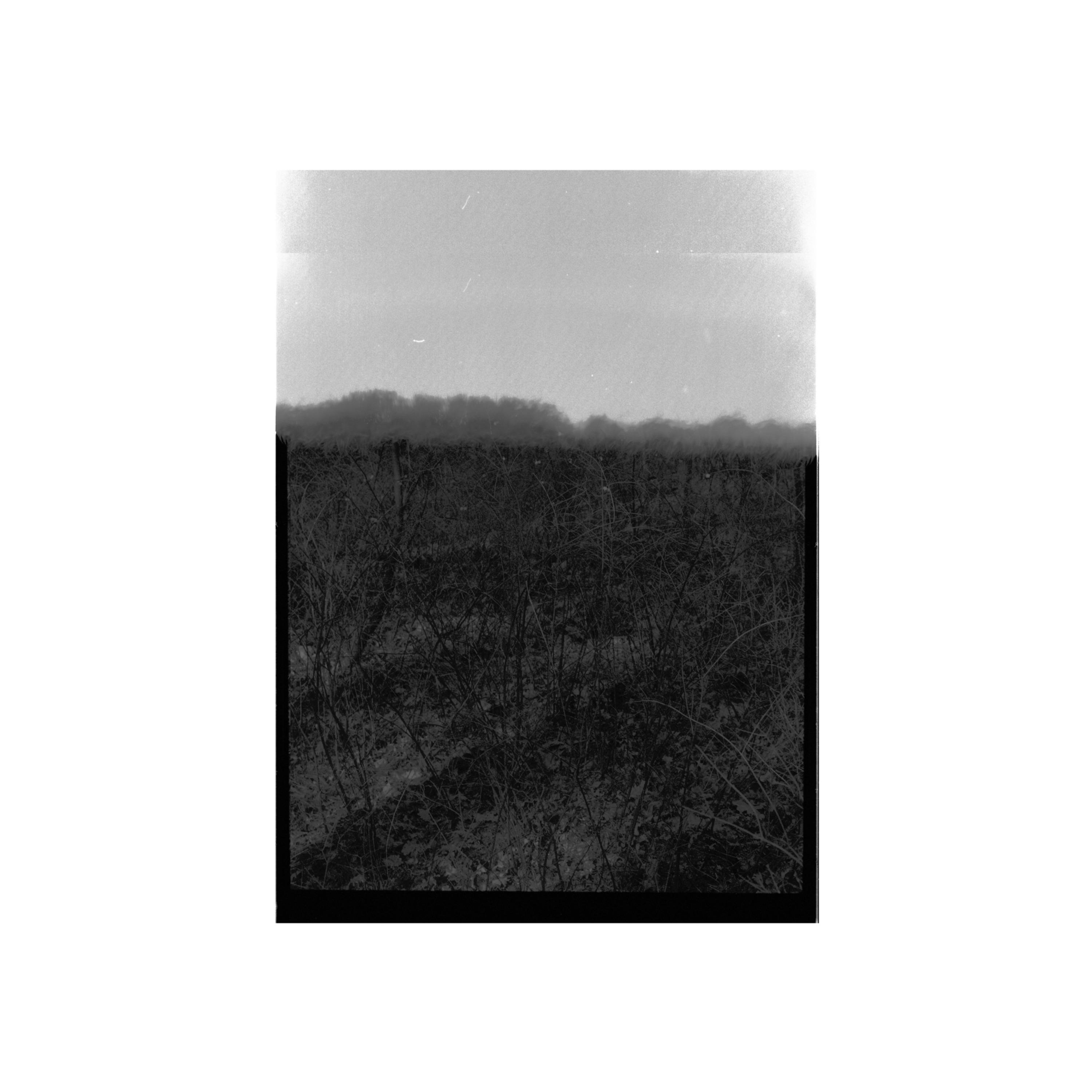 Lender of Last Resort