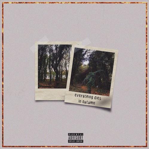 do you like him thoug