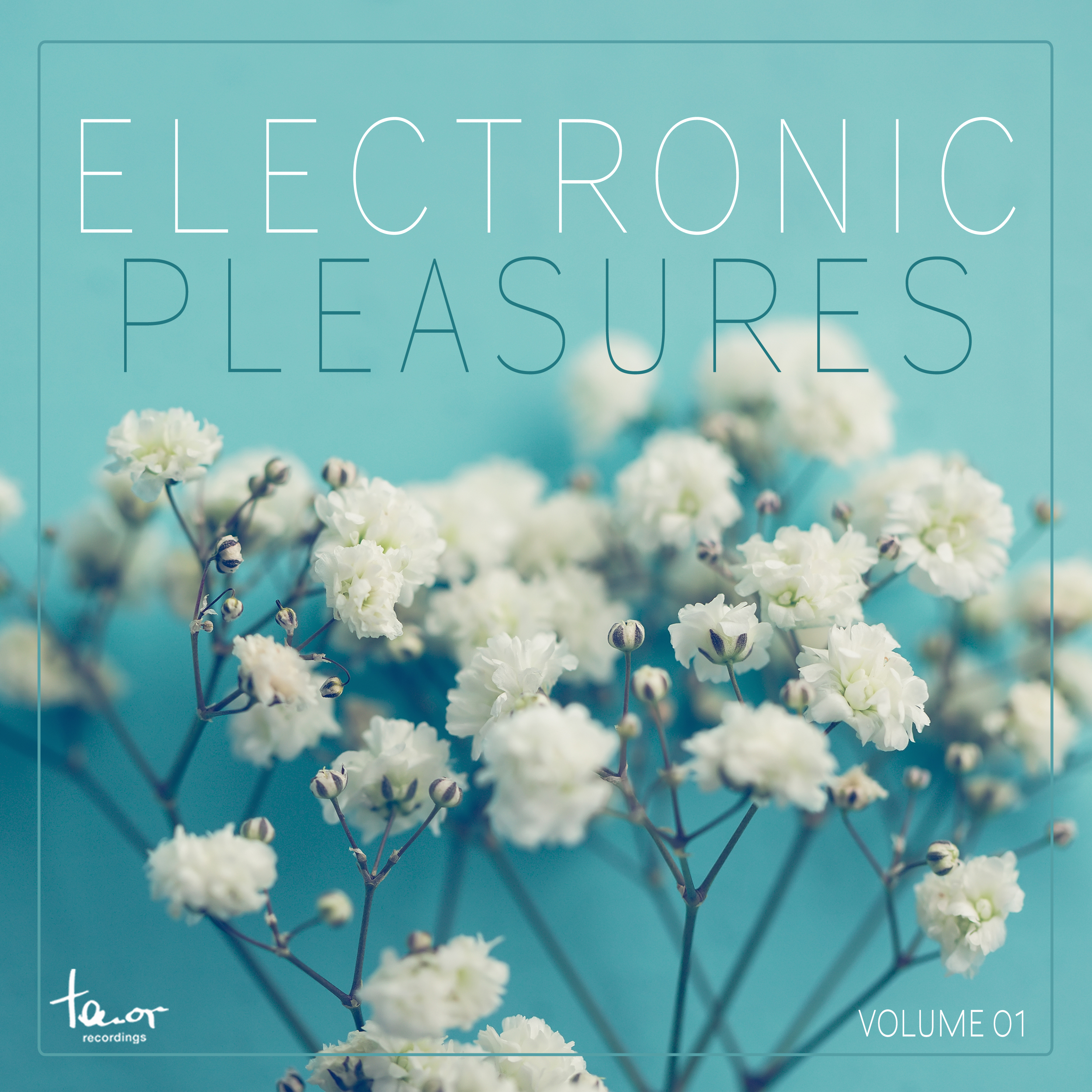 Electronic Pleasures, Vol. 1