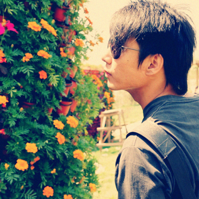 zao chun de shu DEMO