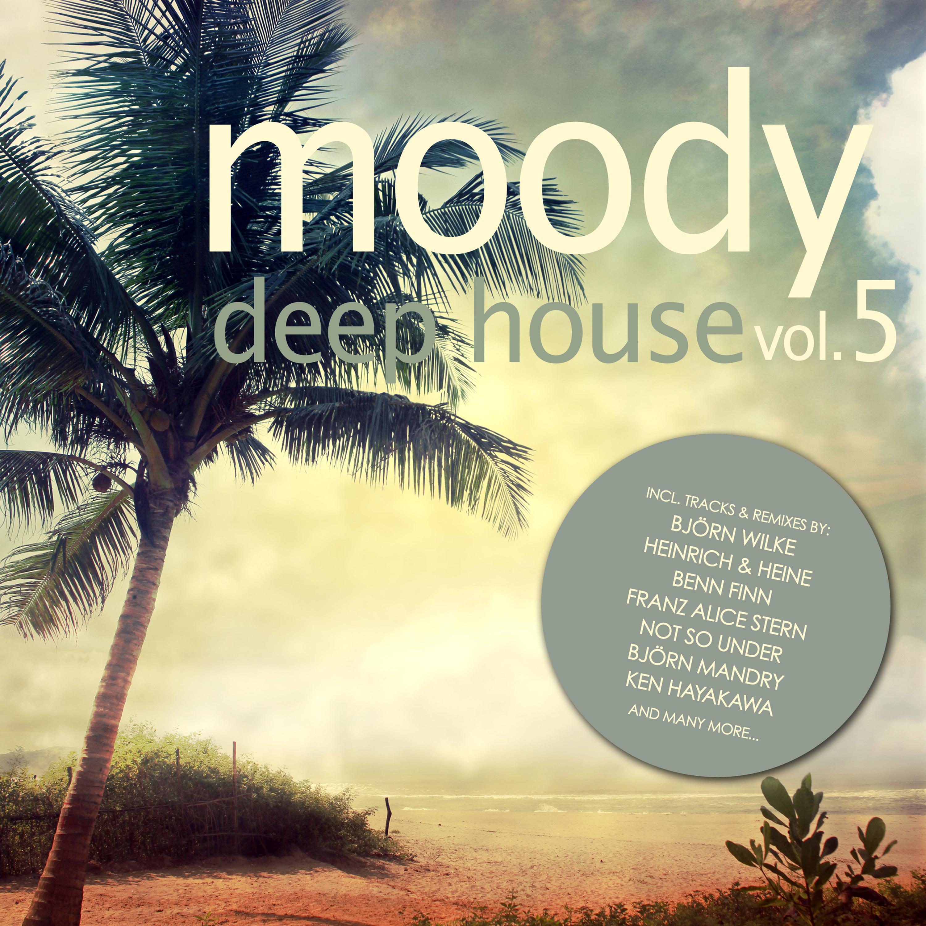Moody Deep House, Vol. 5