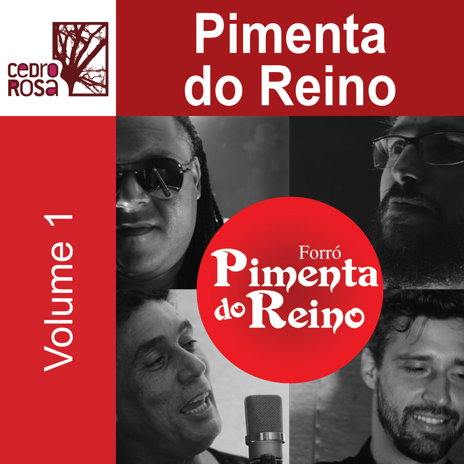 Forro Pimenta do Reino, Vol. 1