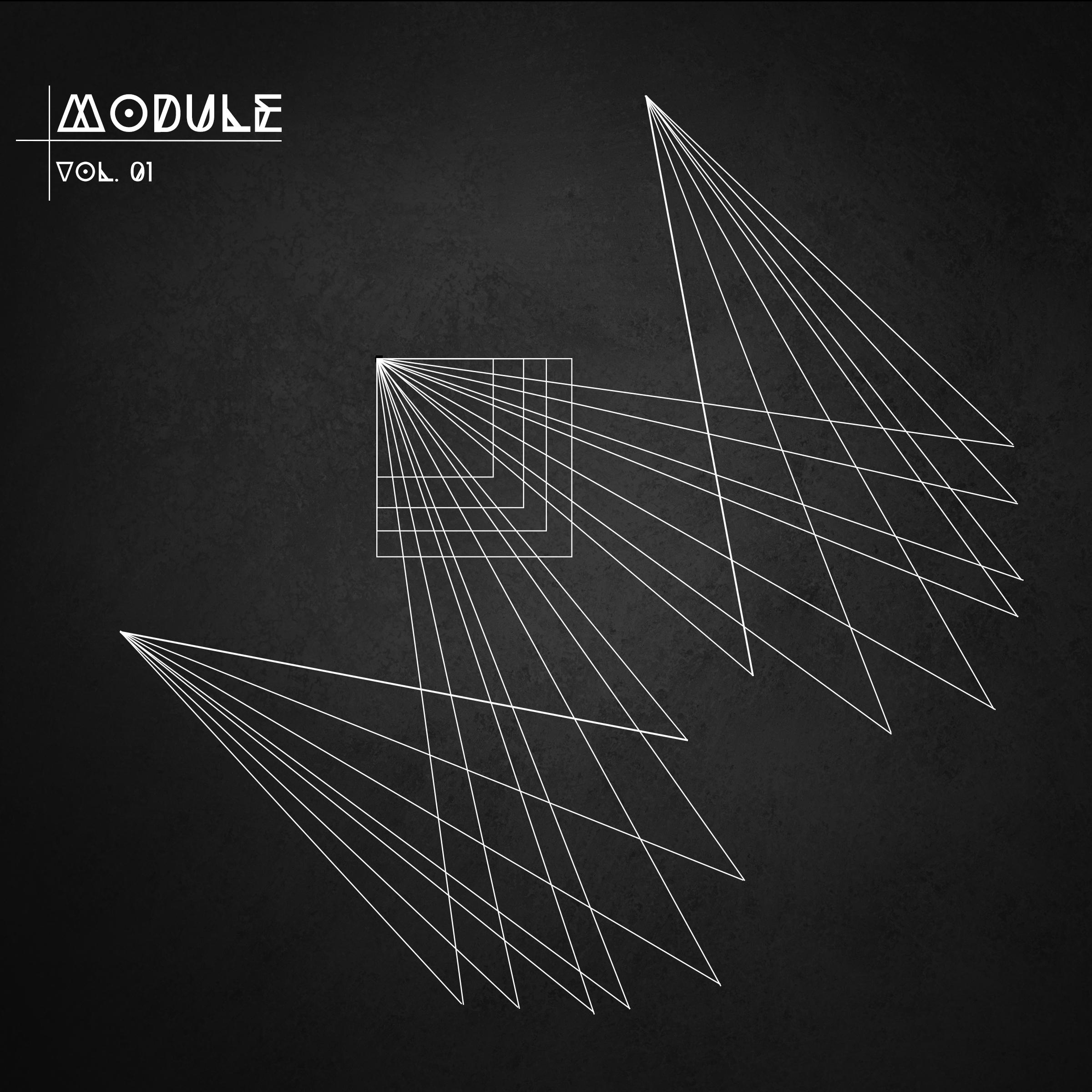 Module, Vol. 01