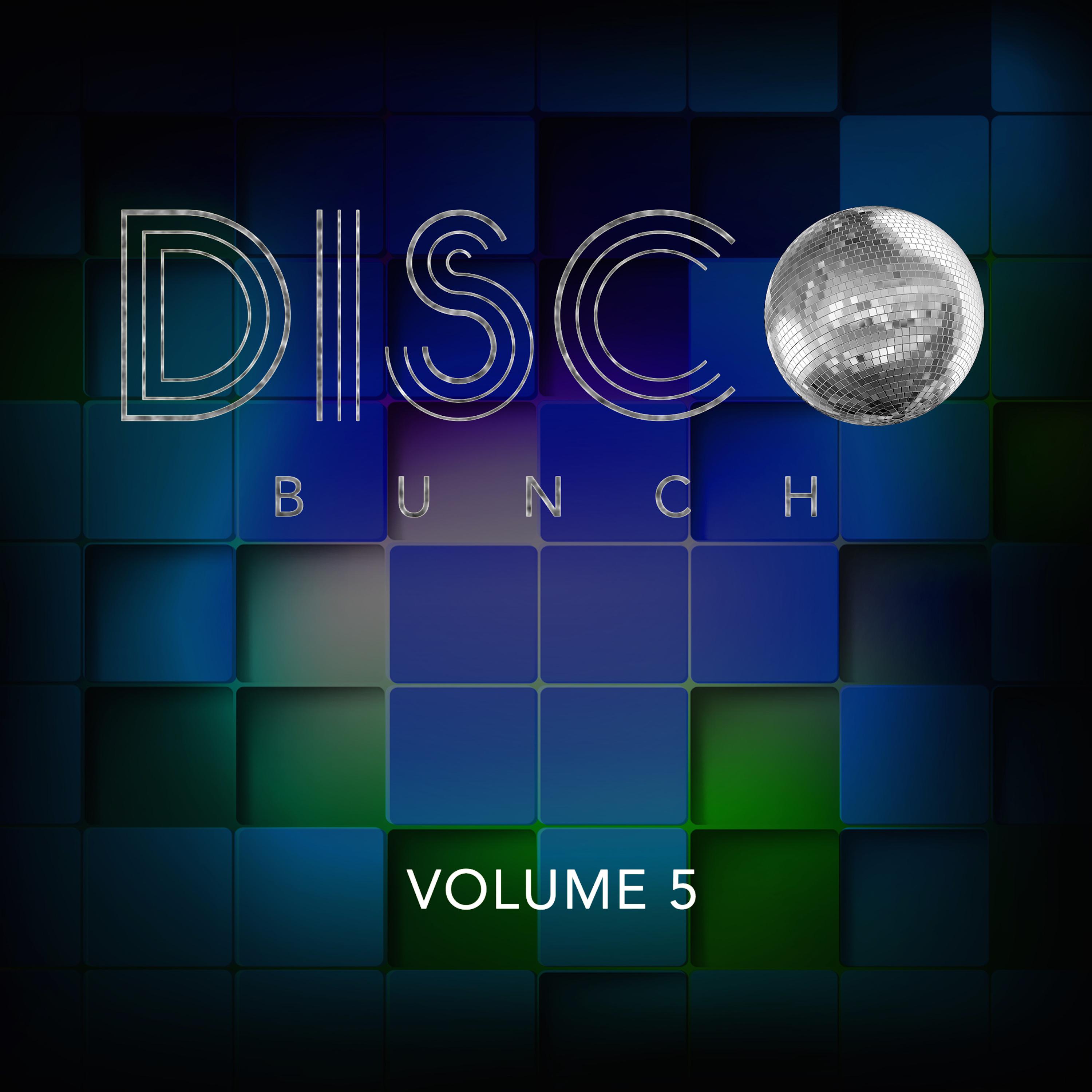 Disco Bunch, Vol. 5