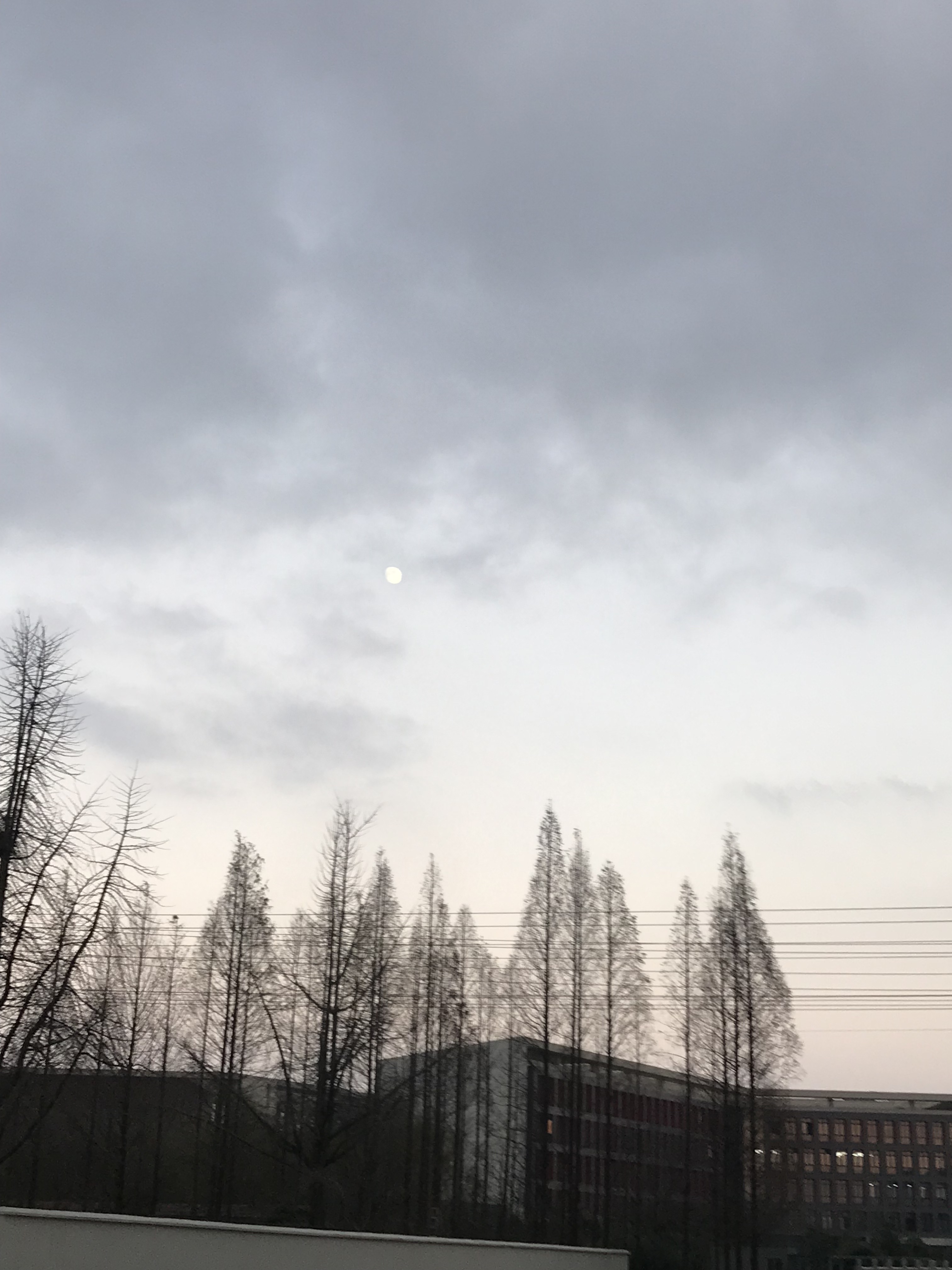 wu hou de huai shi yin yue xue yuan