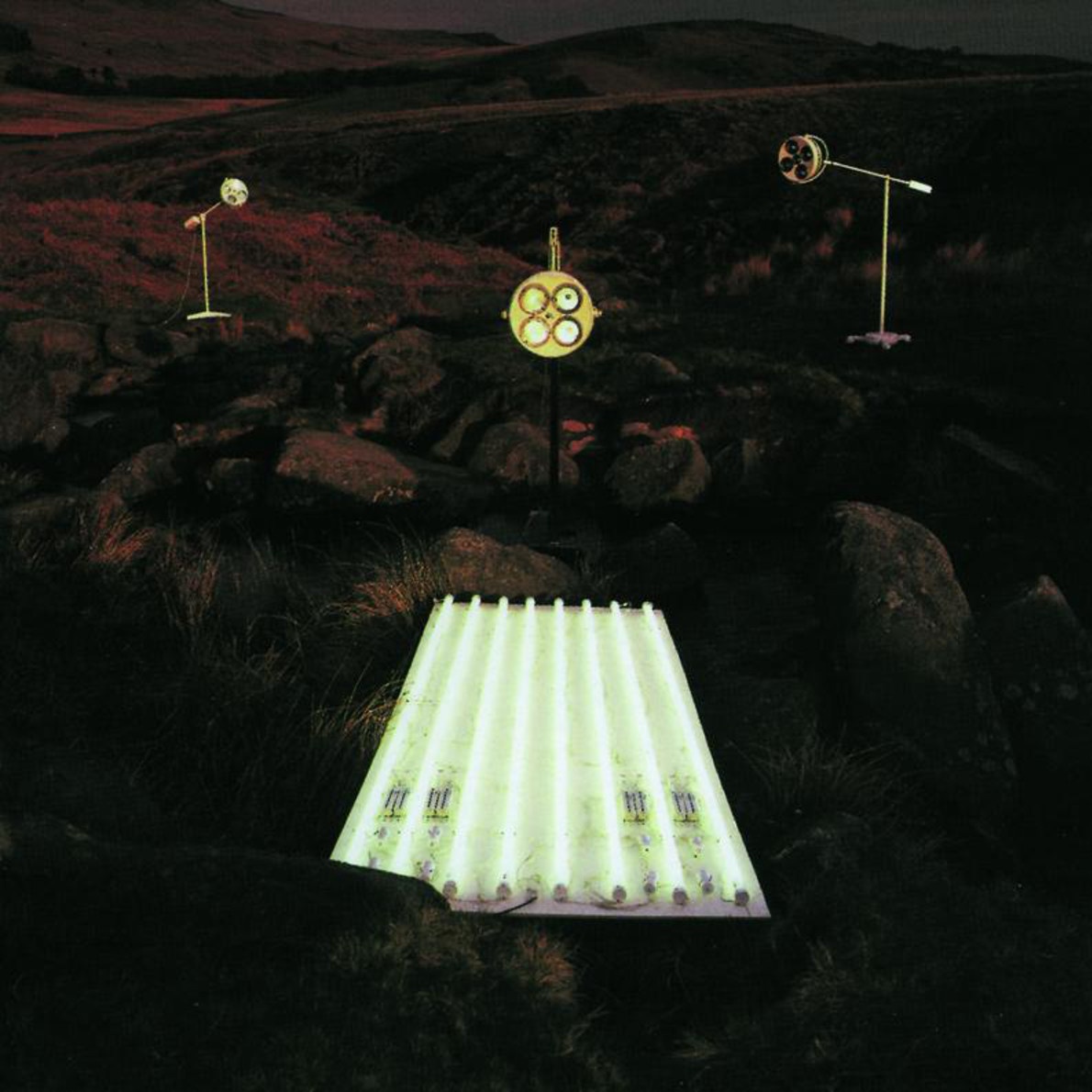 Parvaneh (Butterfly)