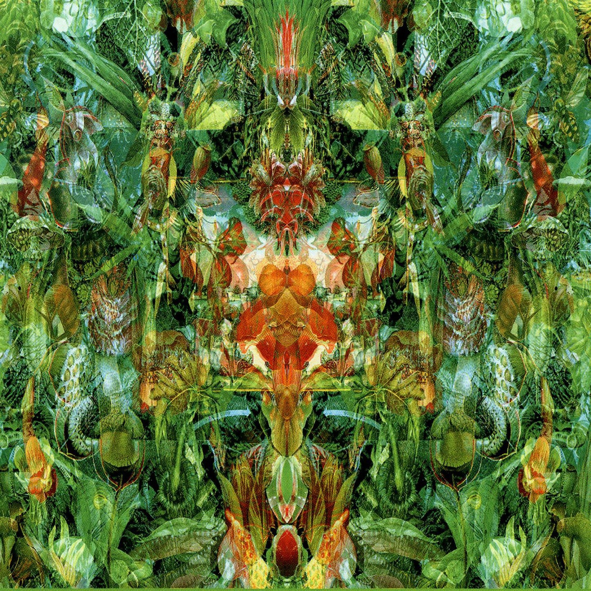 Dark Green - Bill Laswell