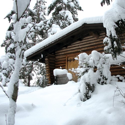 A Word In Your Belly