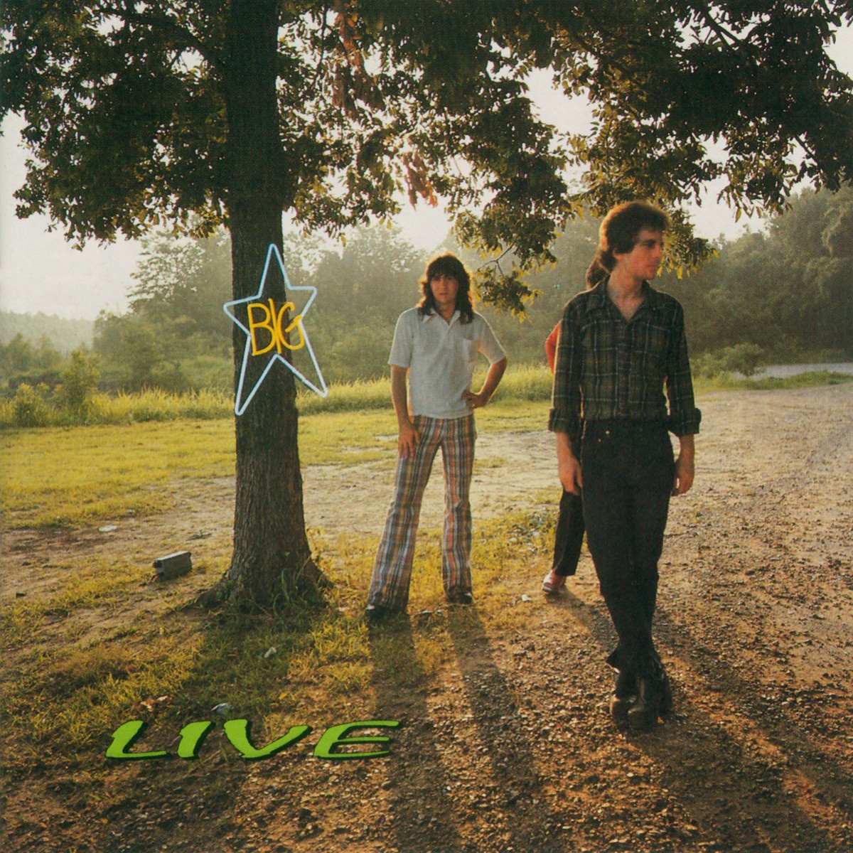 I'm In Love With A Girl (Album Version)