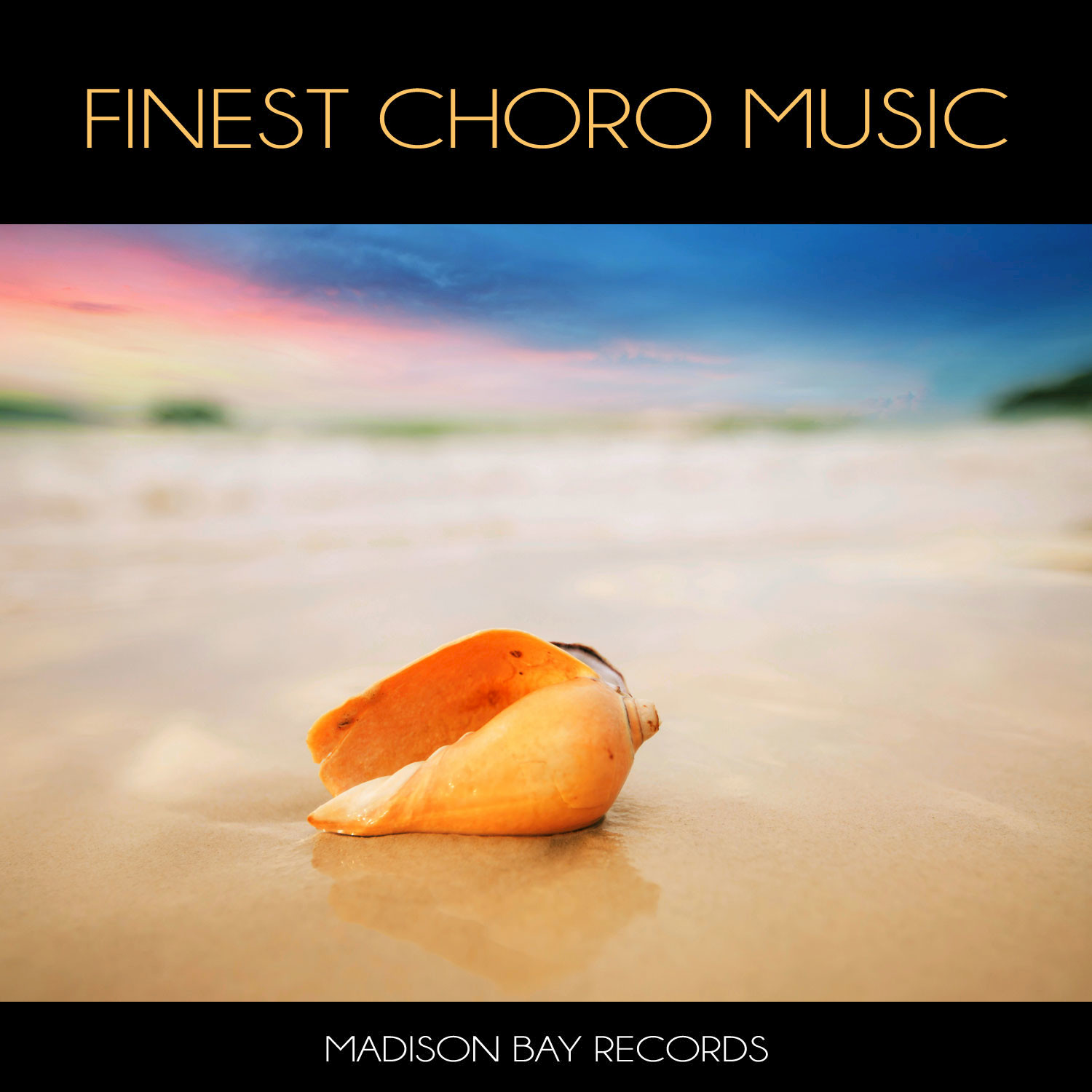 Flauta Cavaquinho E Viol o