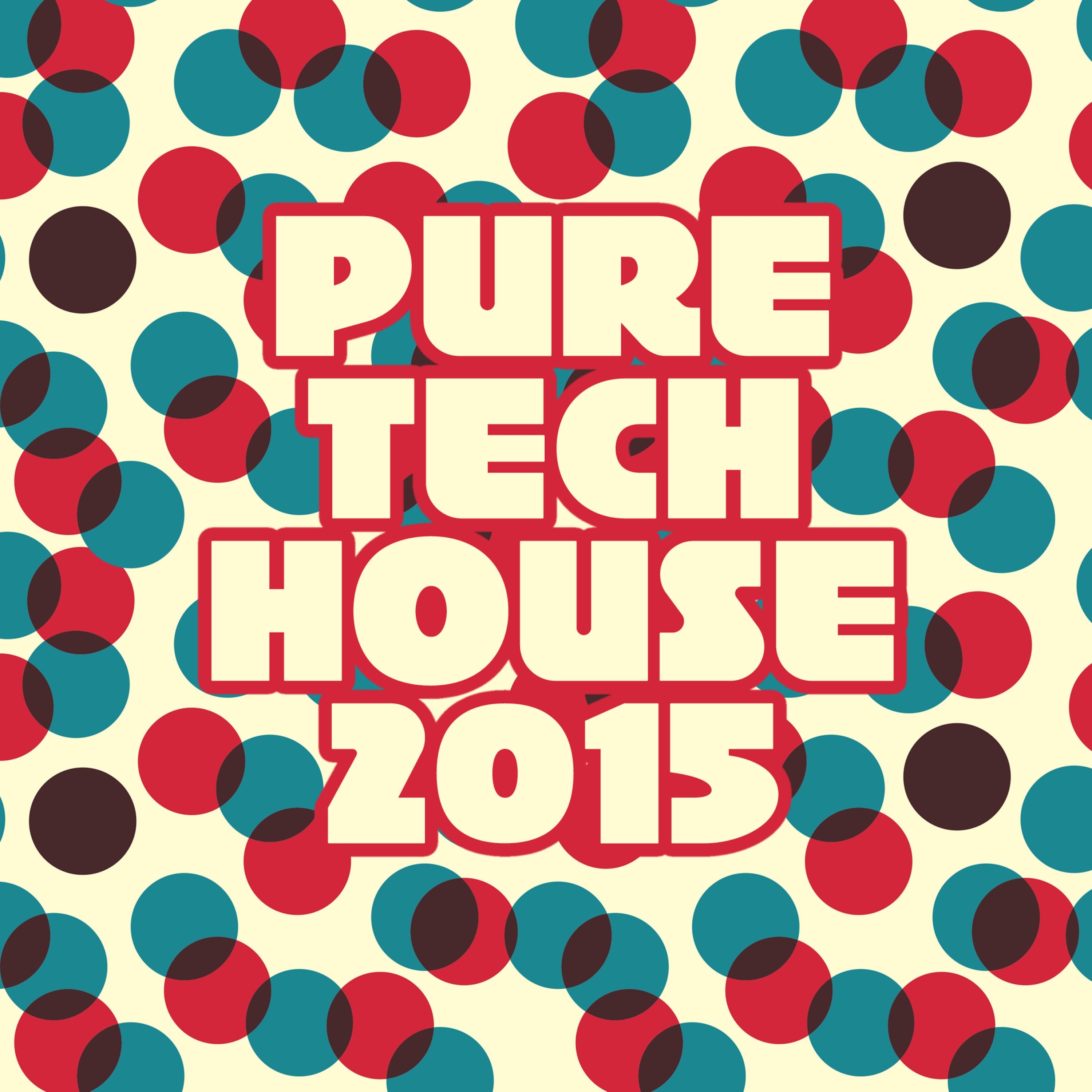 Pure Techhouse 2015