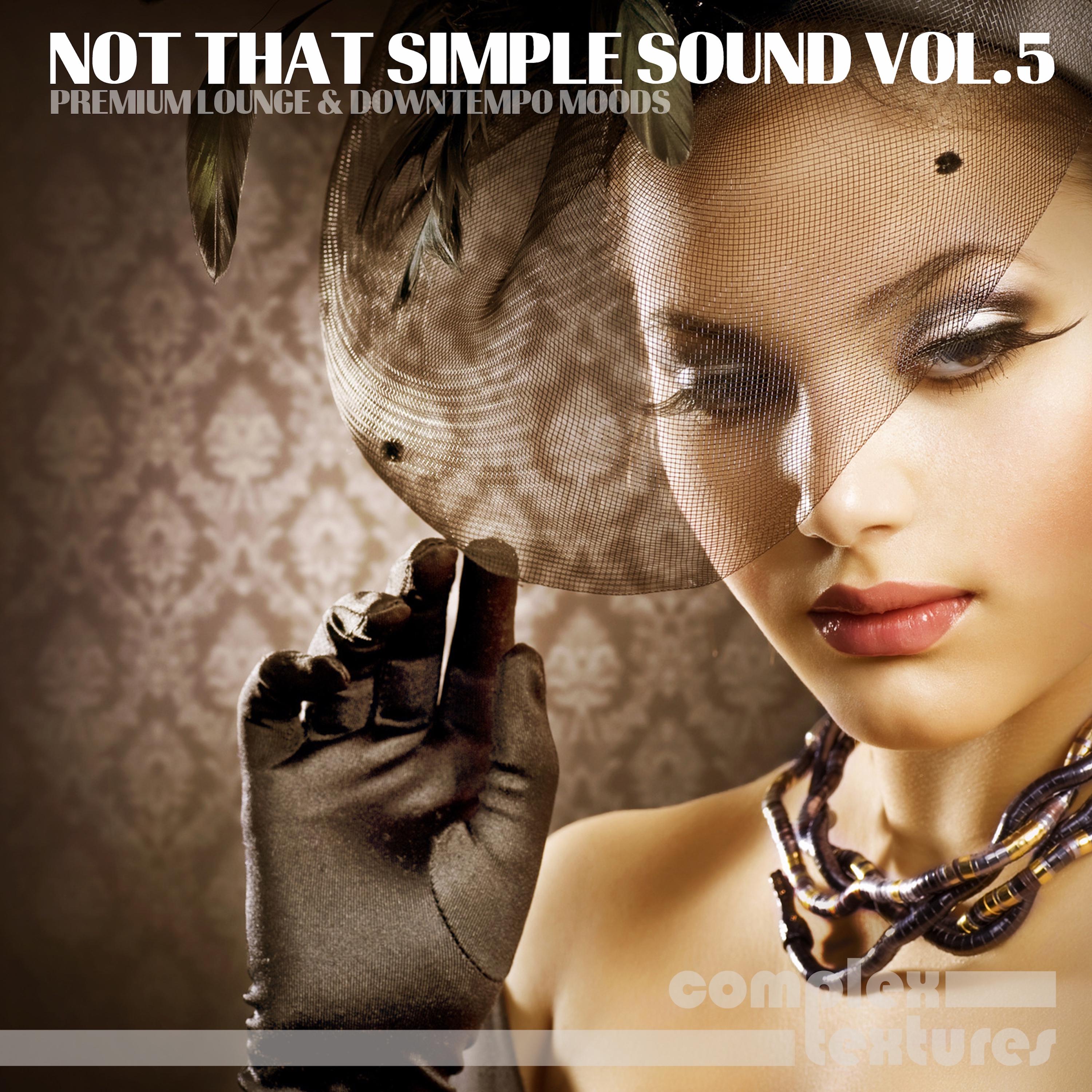 Not That Simple Sound, Vol. 5