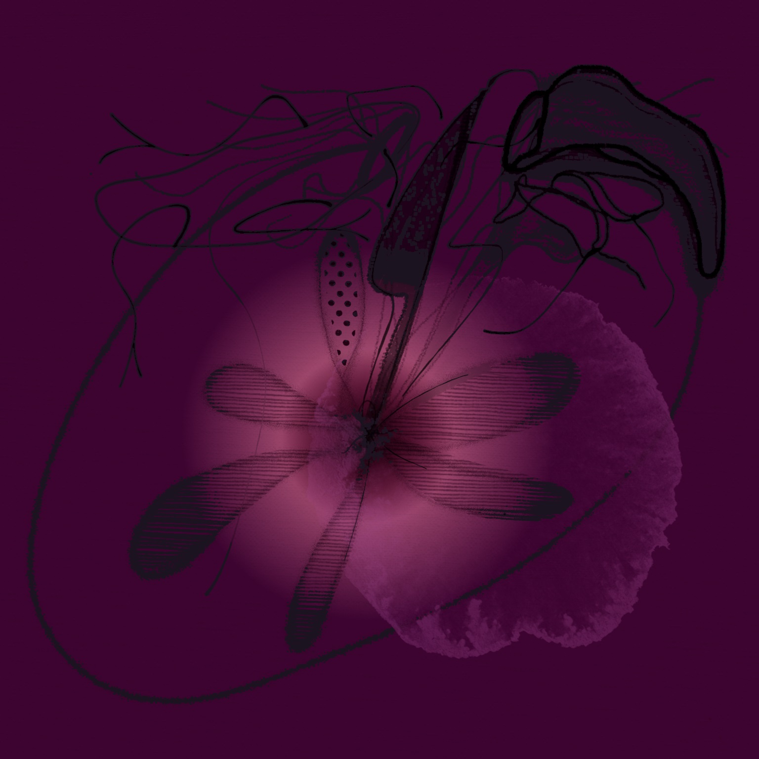 ai le" mi li hai sheng guo