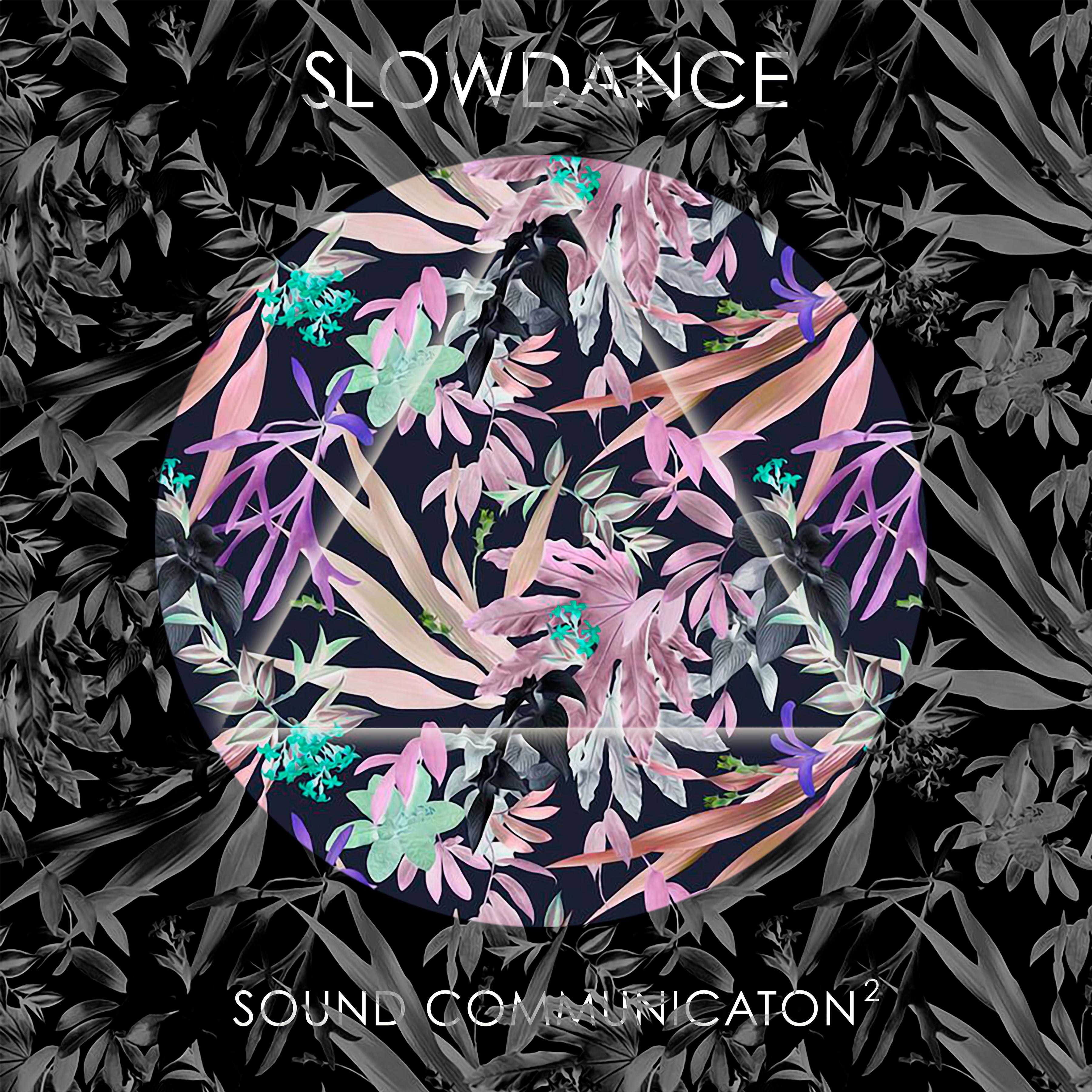 Sound Communication 02