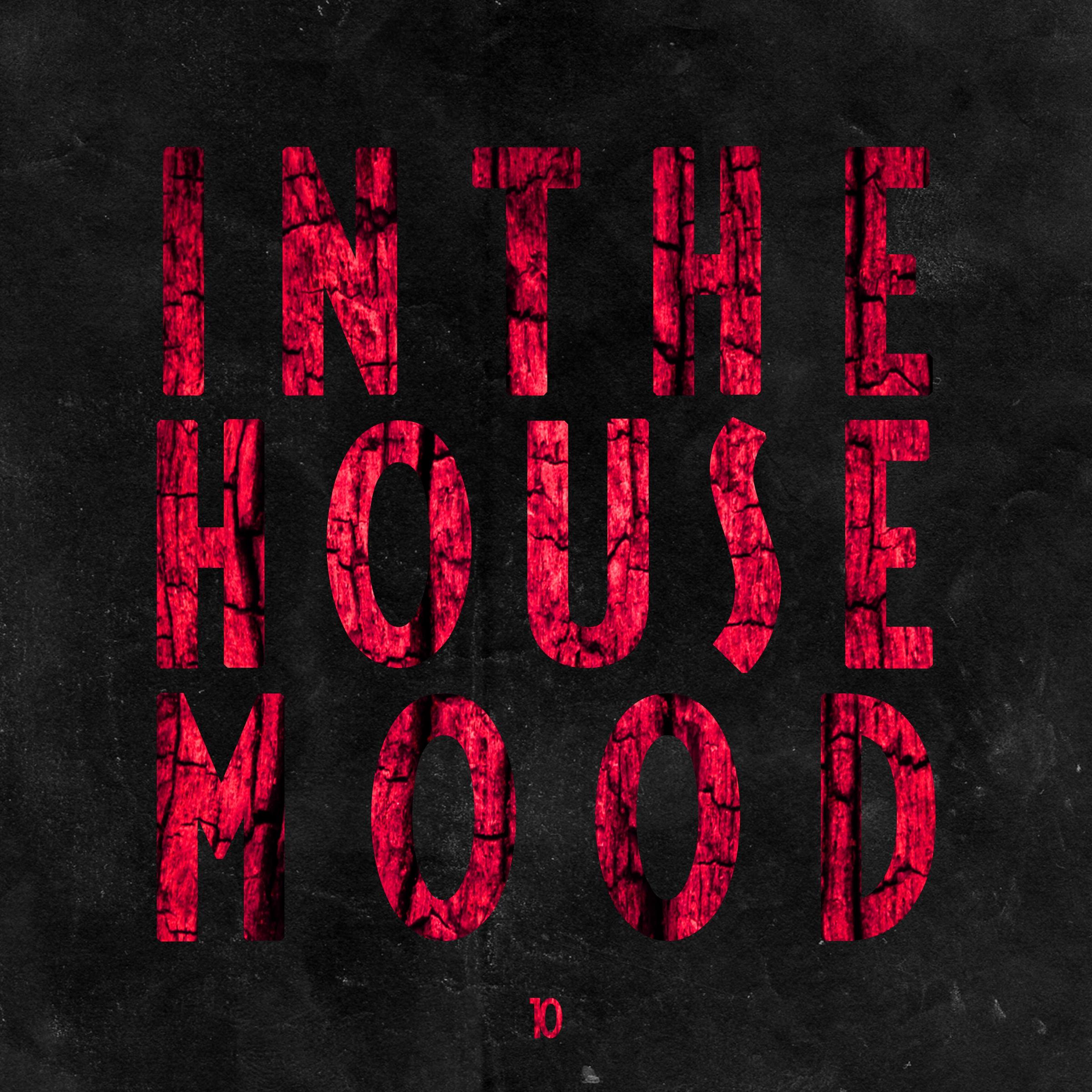 In the House Mood, Vol. 10