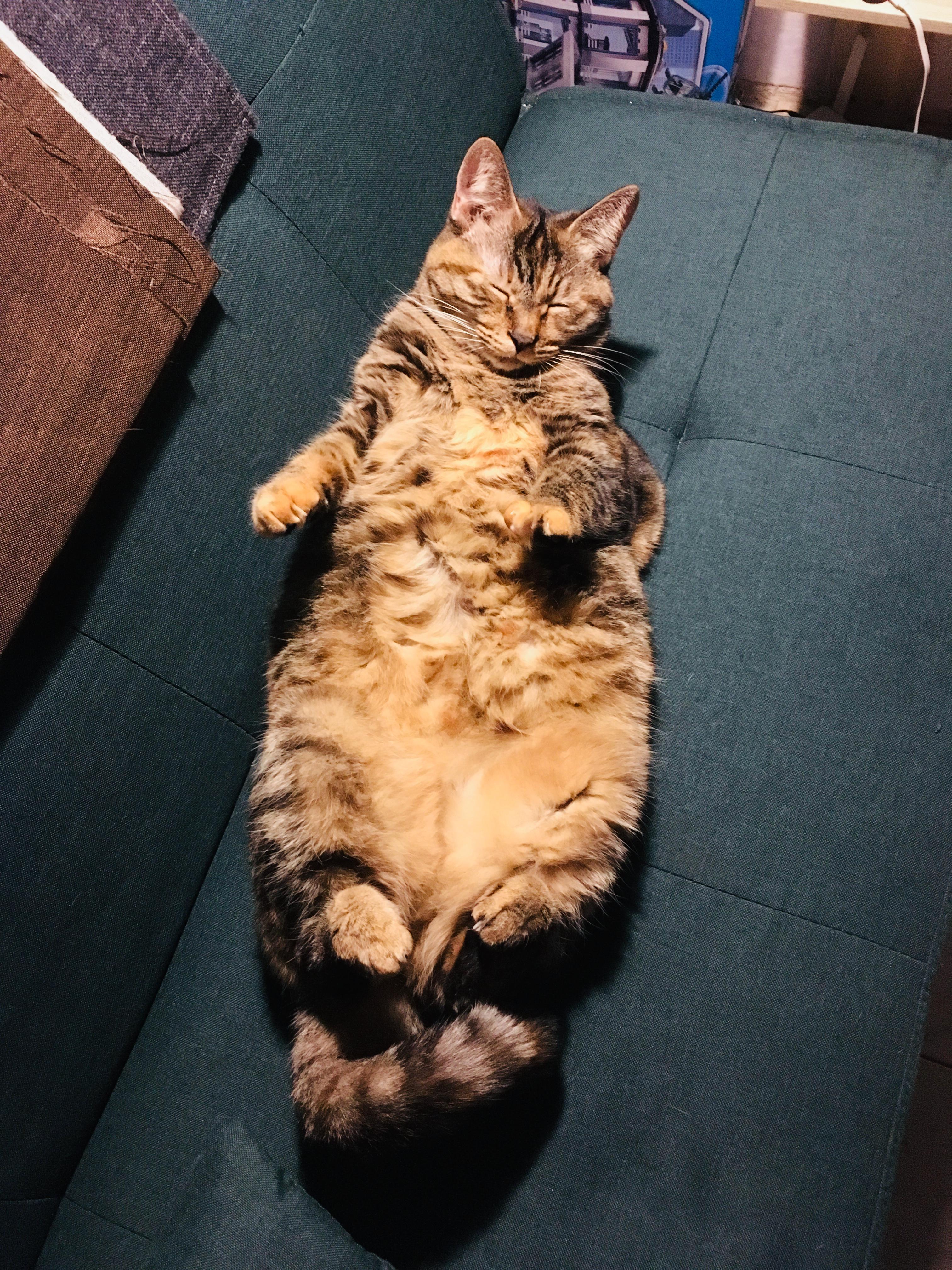 Wish you a happy 25th