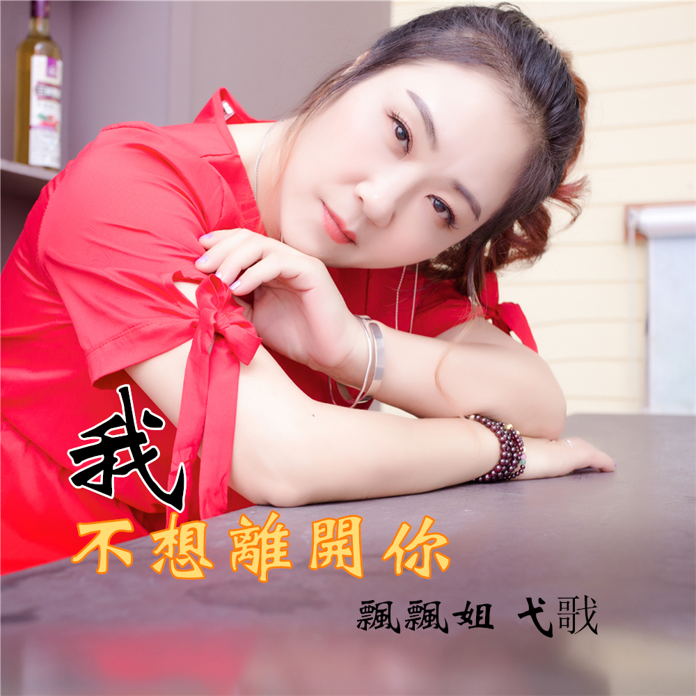 wo bu xiang li kai ni