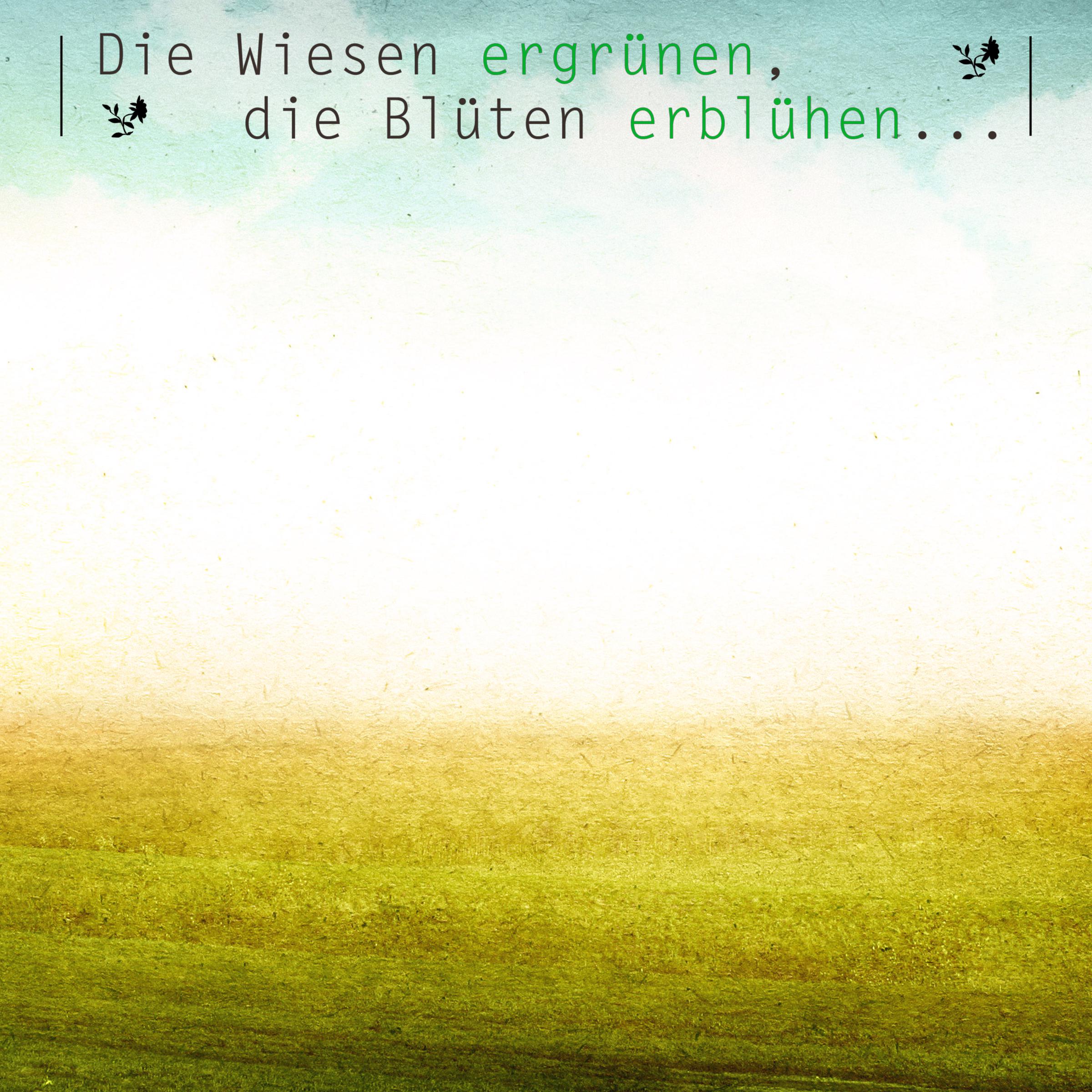 Die Wiesen ergrü nen, die Blü ten erblü hen...