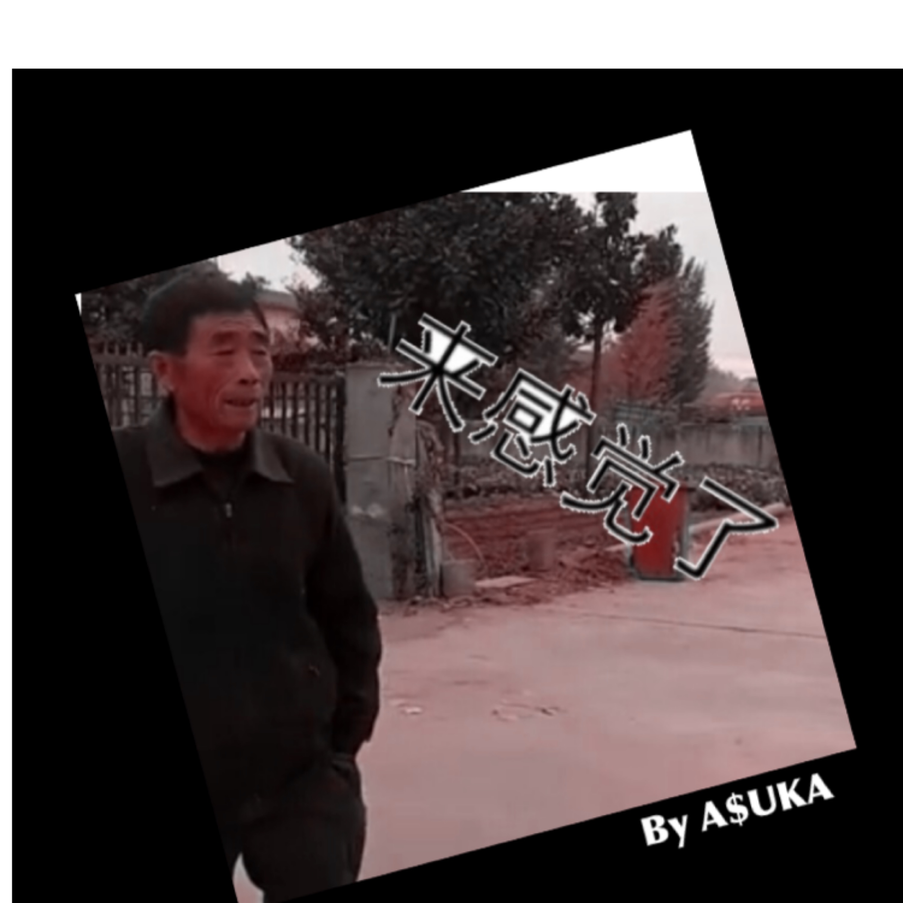 ni jia lao mu zhu bei tou qu le