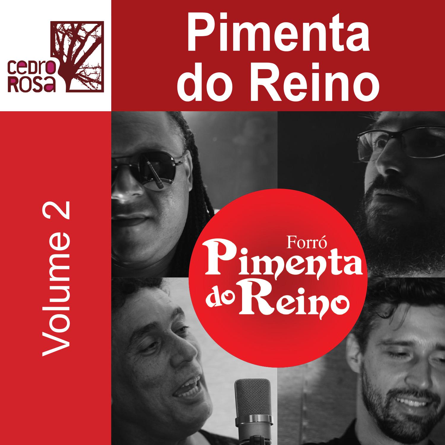 Forro Pimenta do Reino, Vol. 2