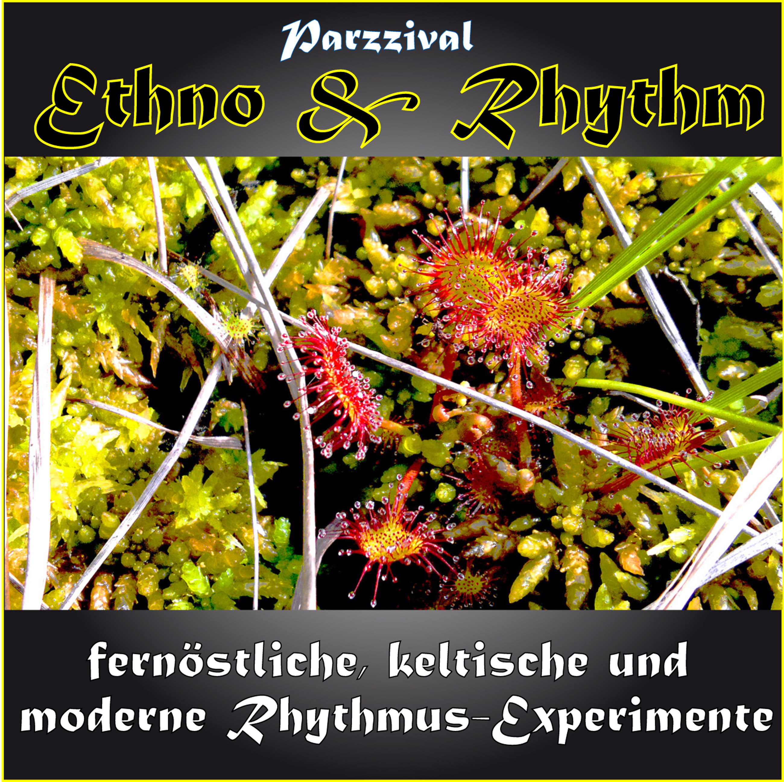 Ethno  Rhythm  Fern stliche, keltische und moderne RhythmusExperimente
