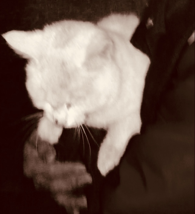 na dong ye, bao zhe lu you qi de nan hai