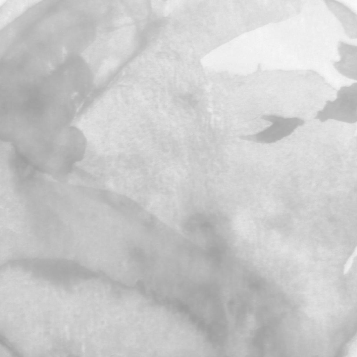 yi duan ping fan de wang shi