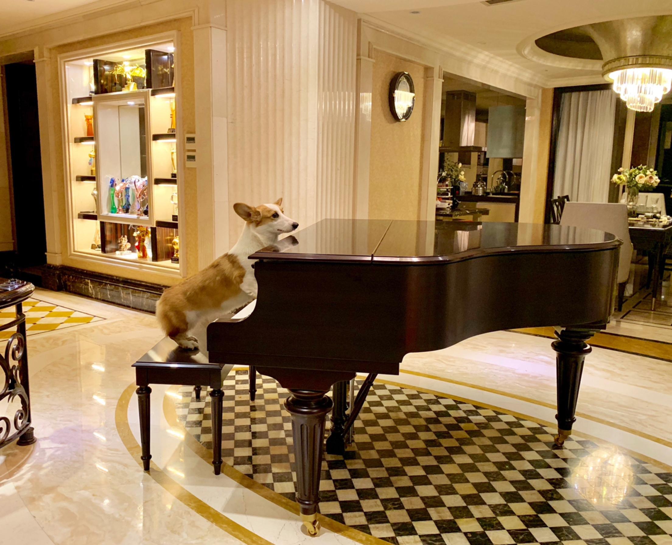 jue dai feng hua piano