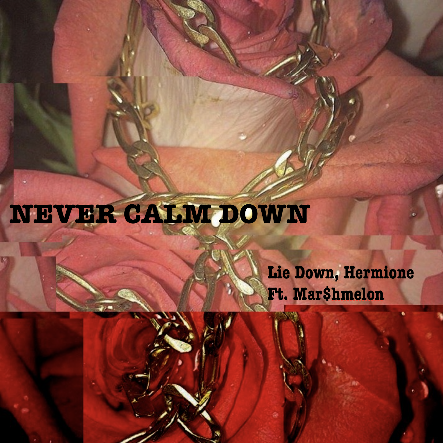 NEVER CALM DOWN