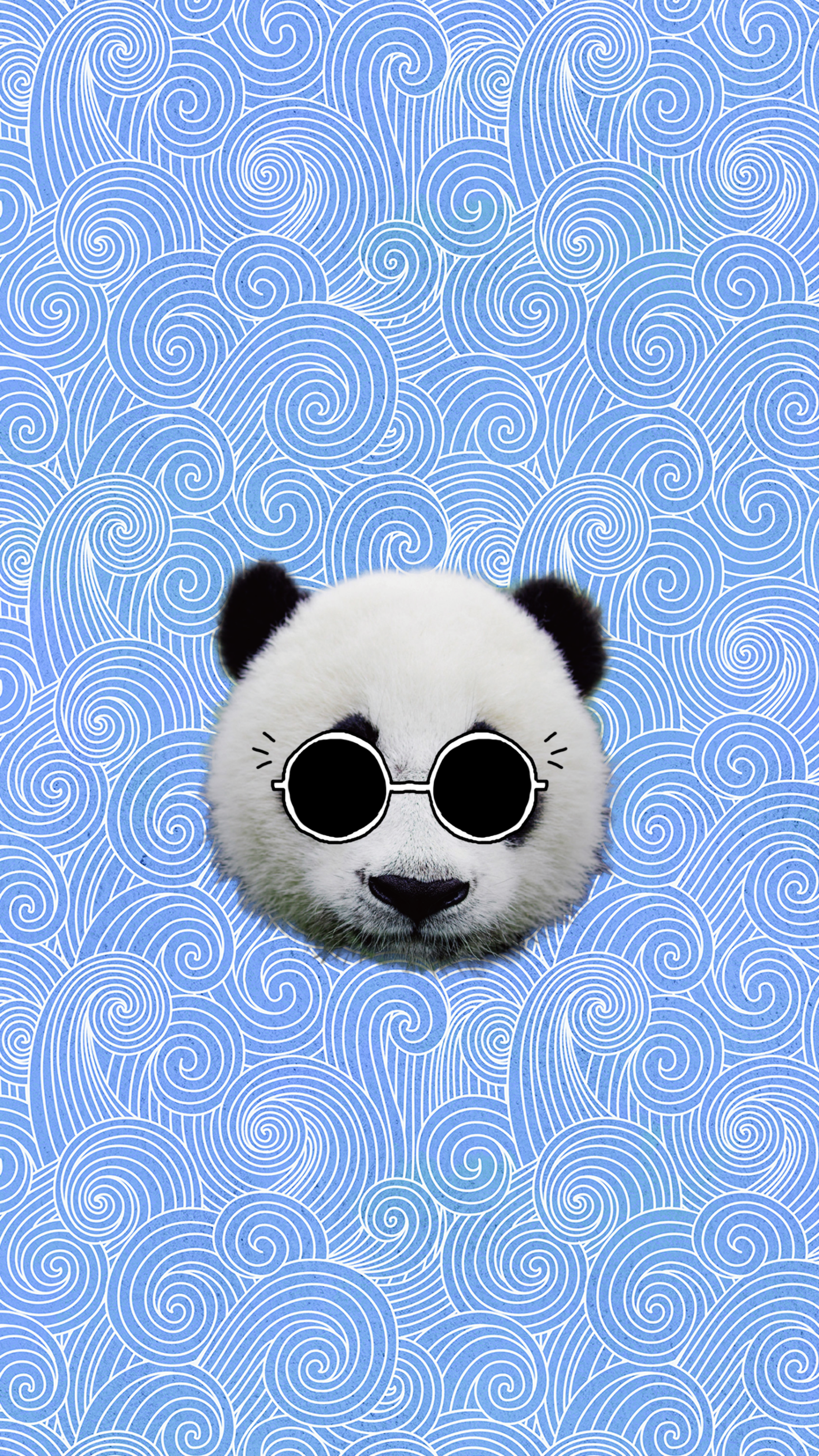 panda