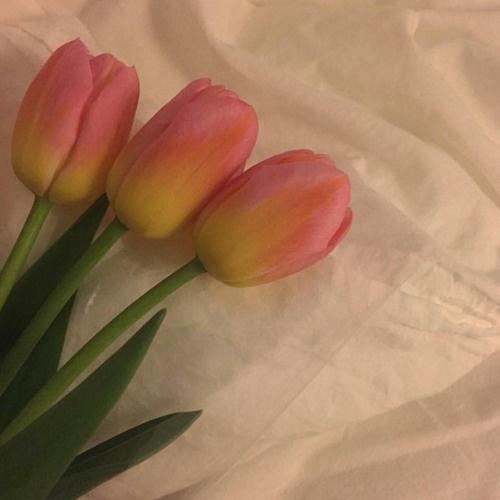 youcomeandbemyflower