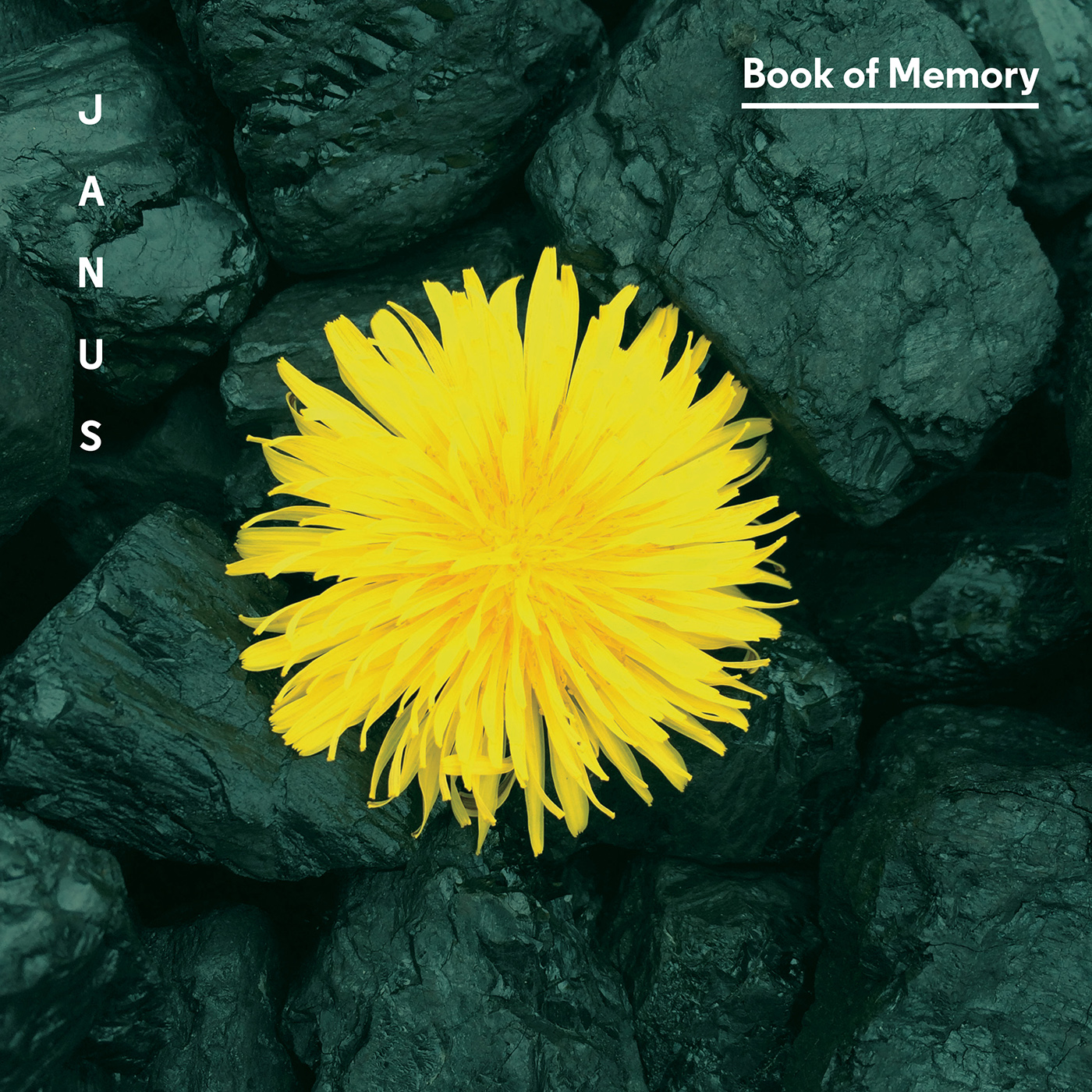 LANSKY, P.: Book of Memory / TREUTING, J.: Pluck, Bow, Blow (Janus)