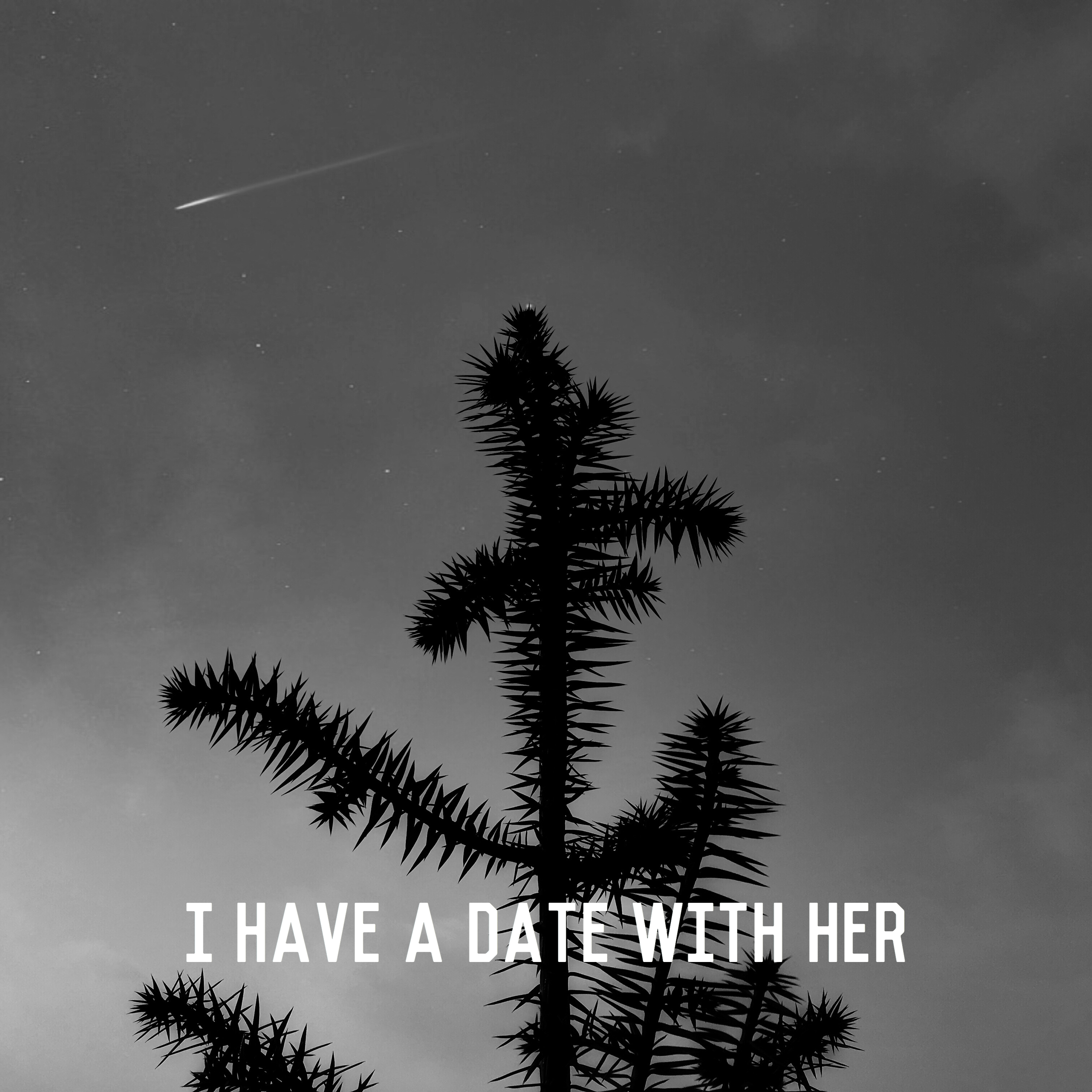 wo he ta you yi ge yue hui