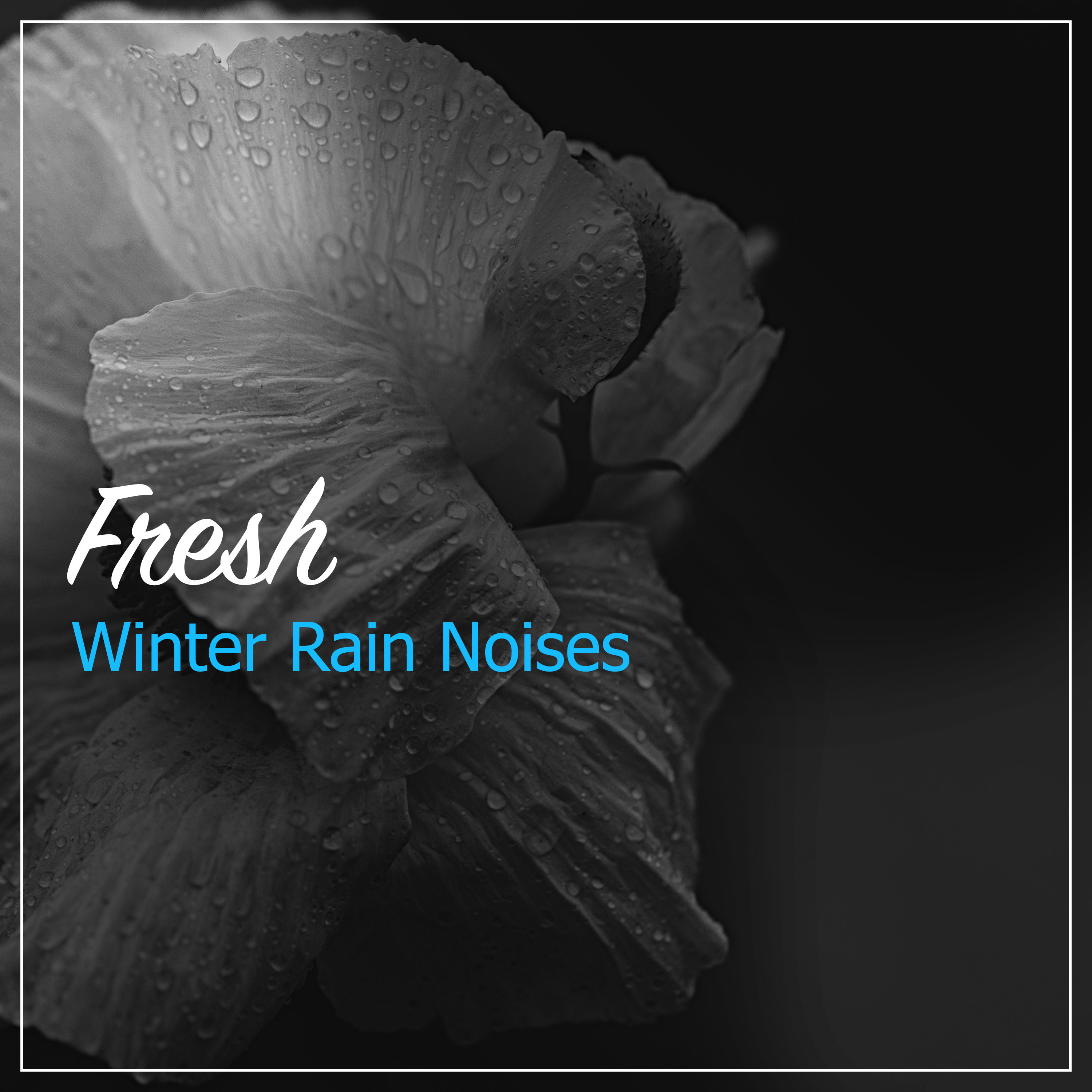 #20 Fresh Winter Rain Noises