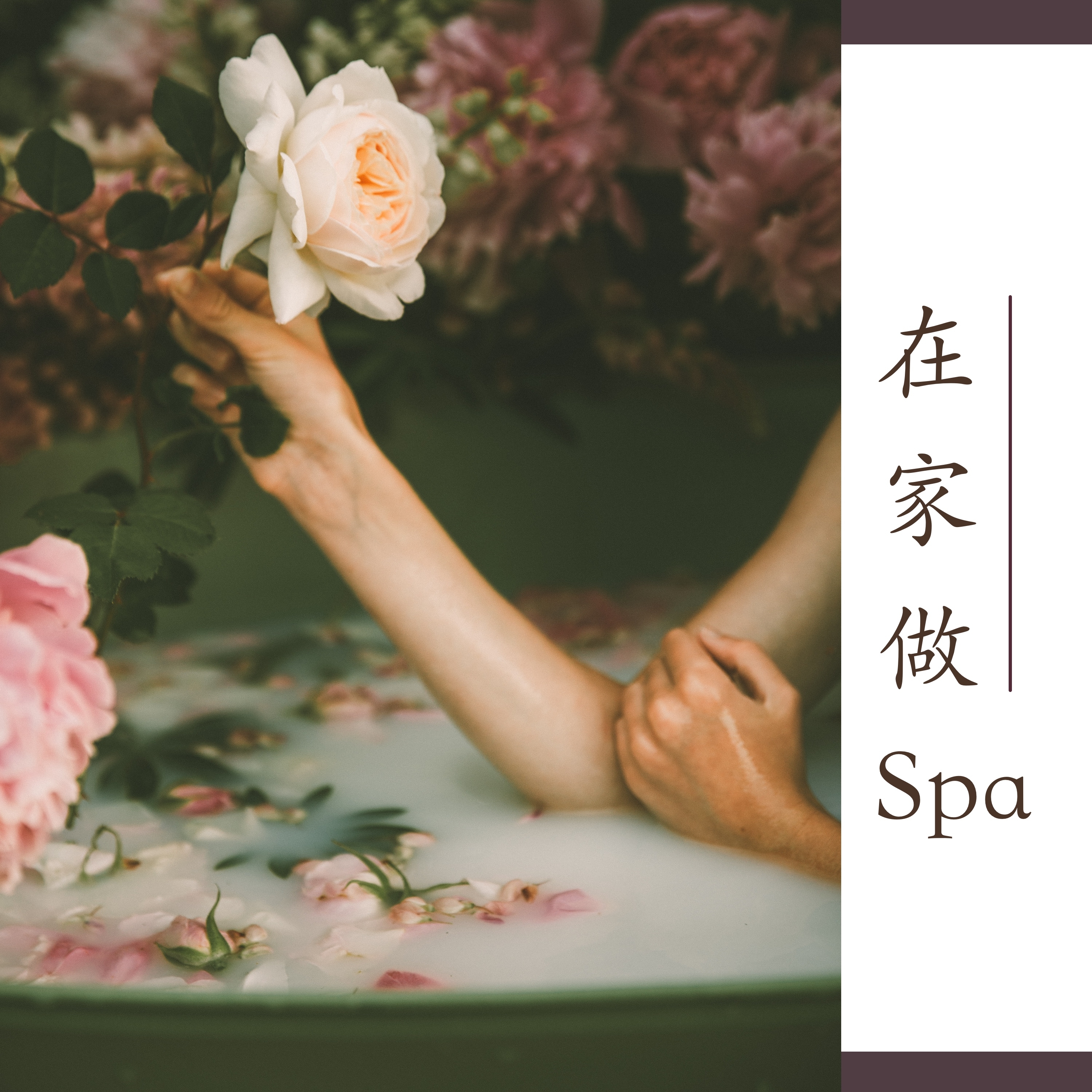 zai jia zuo Spa  shui jing yin le, da hai yin le, chun yin le