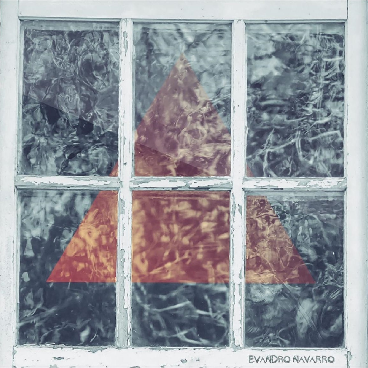 Can o Que Vem na Chuva