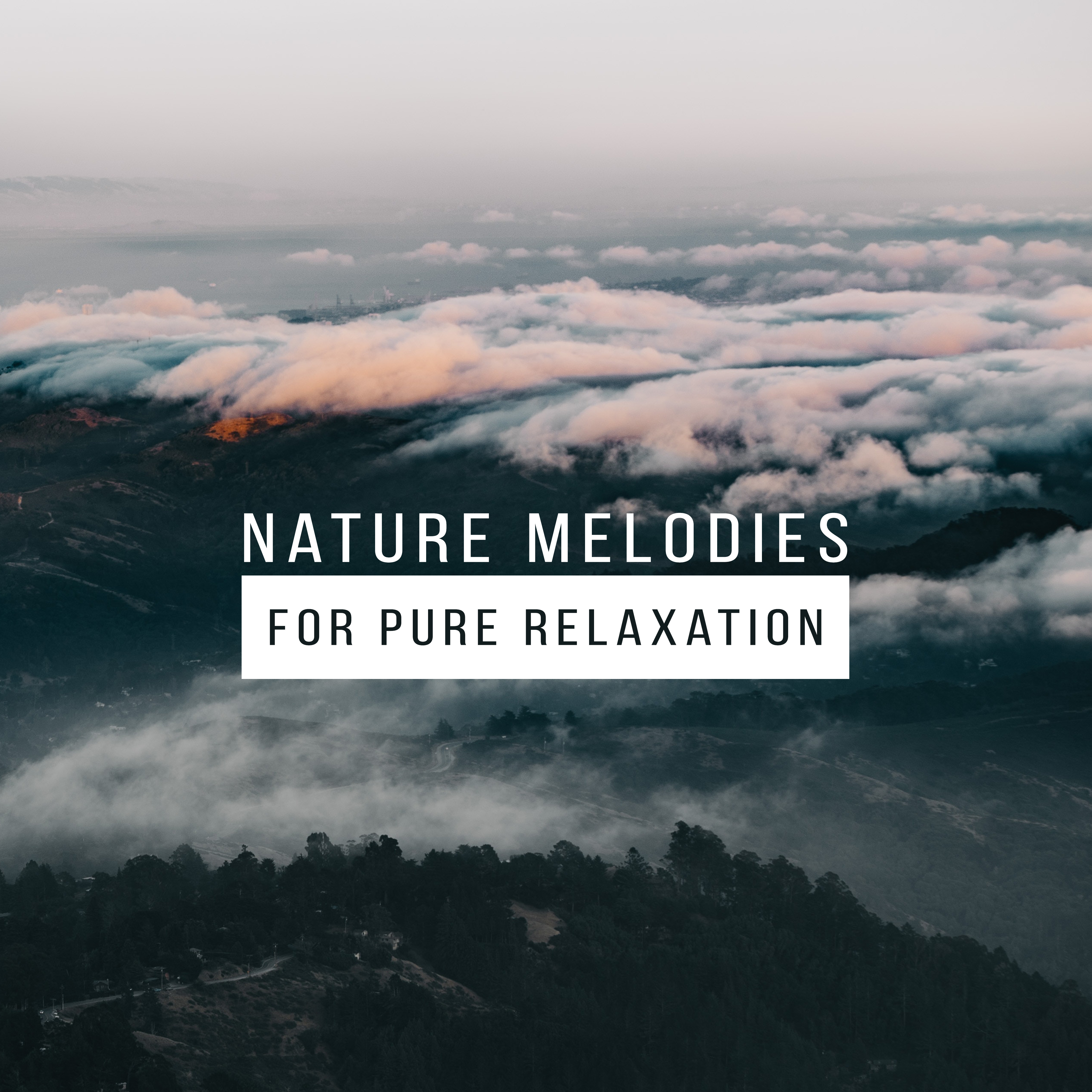 Nature Melodies for Pure Relaxation