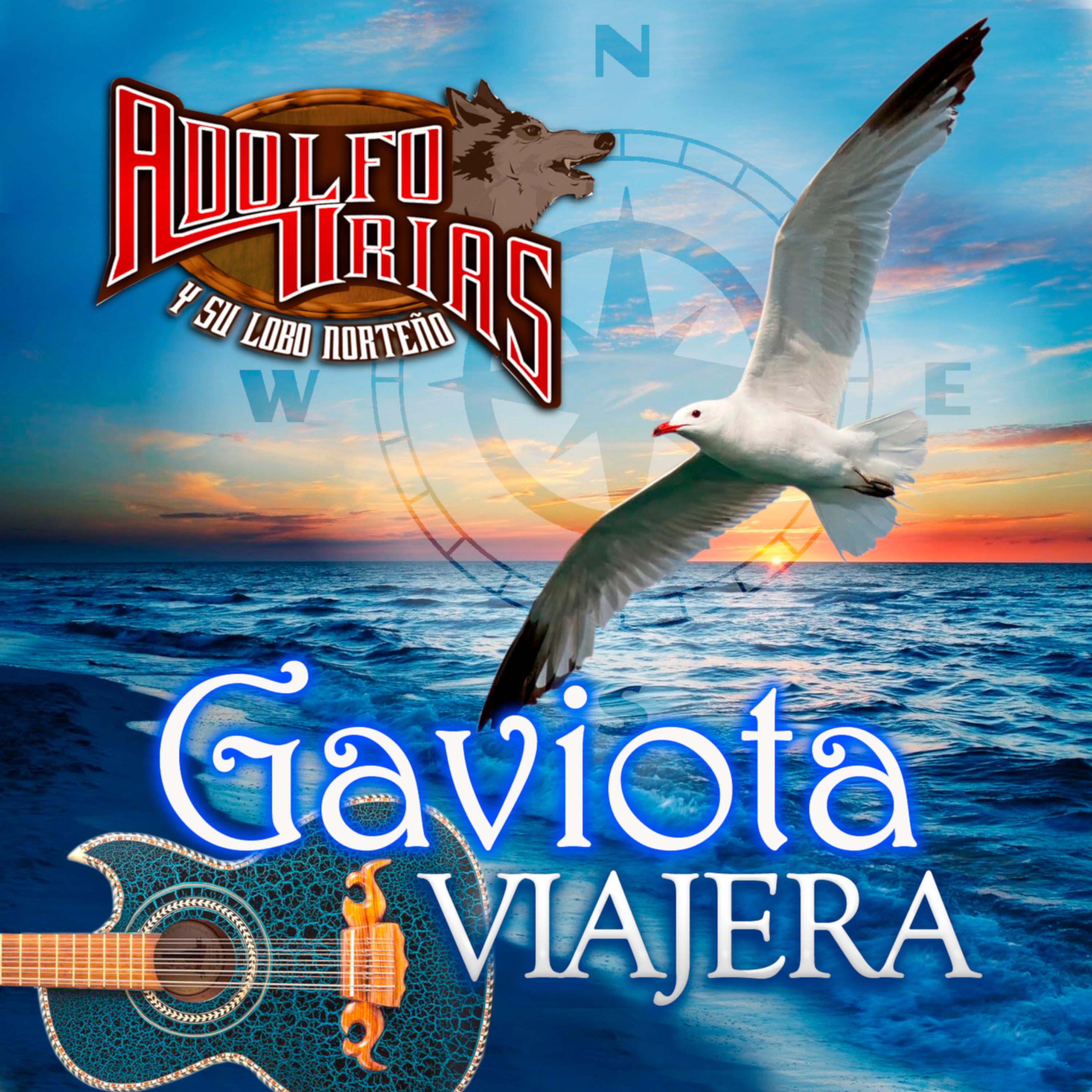 Gaviota Viajera