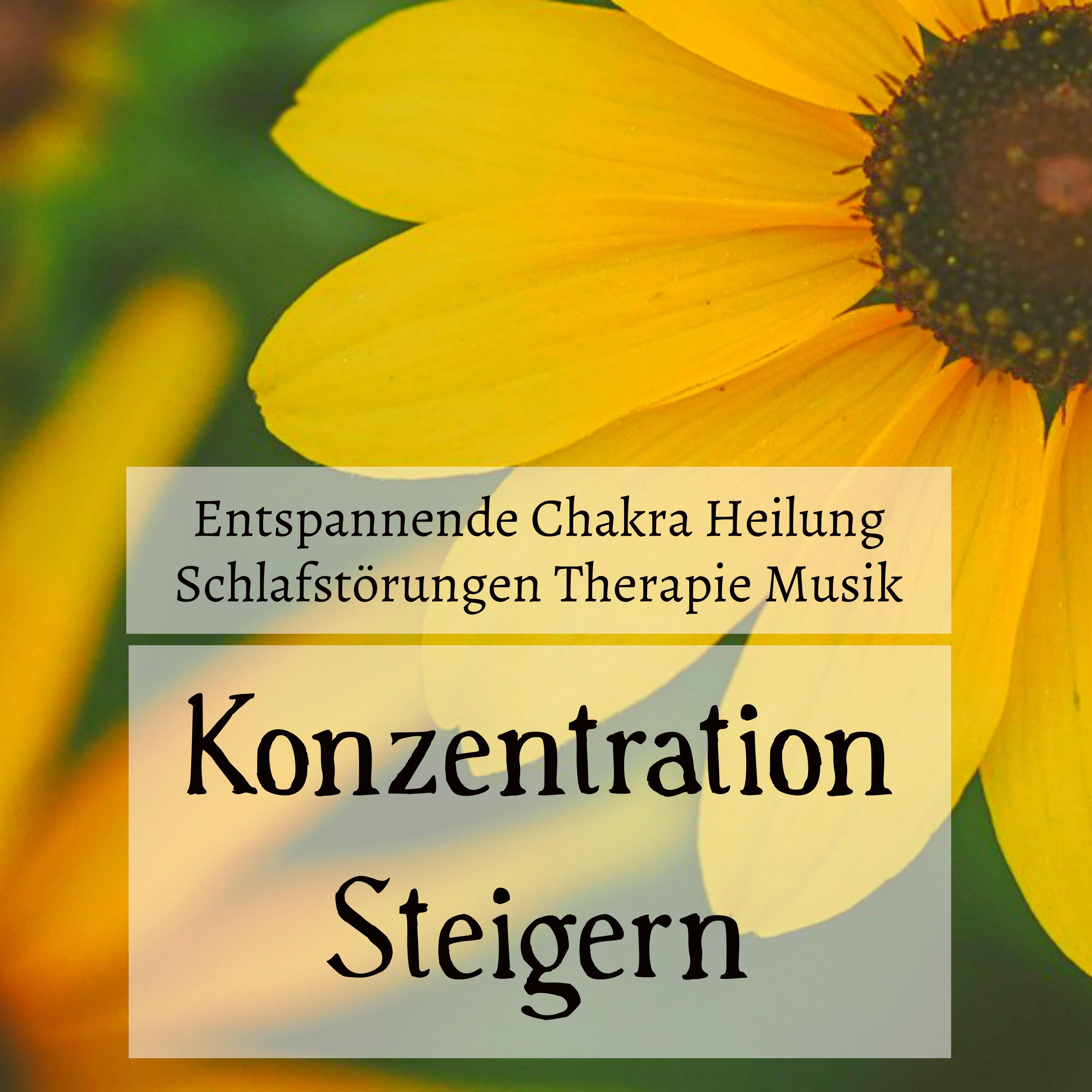 Konzentration Steigern  Entspannende Chakra Heilung Schlafst rungen Therapie Musik mit Natur New Age Instrumental Ger usche