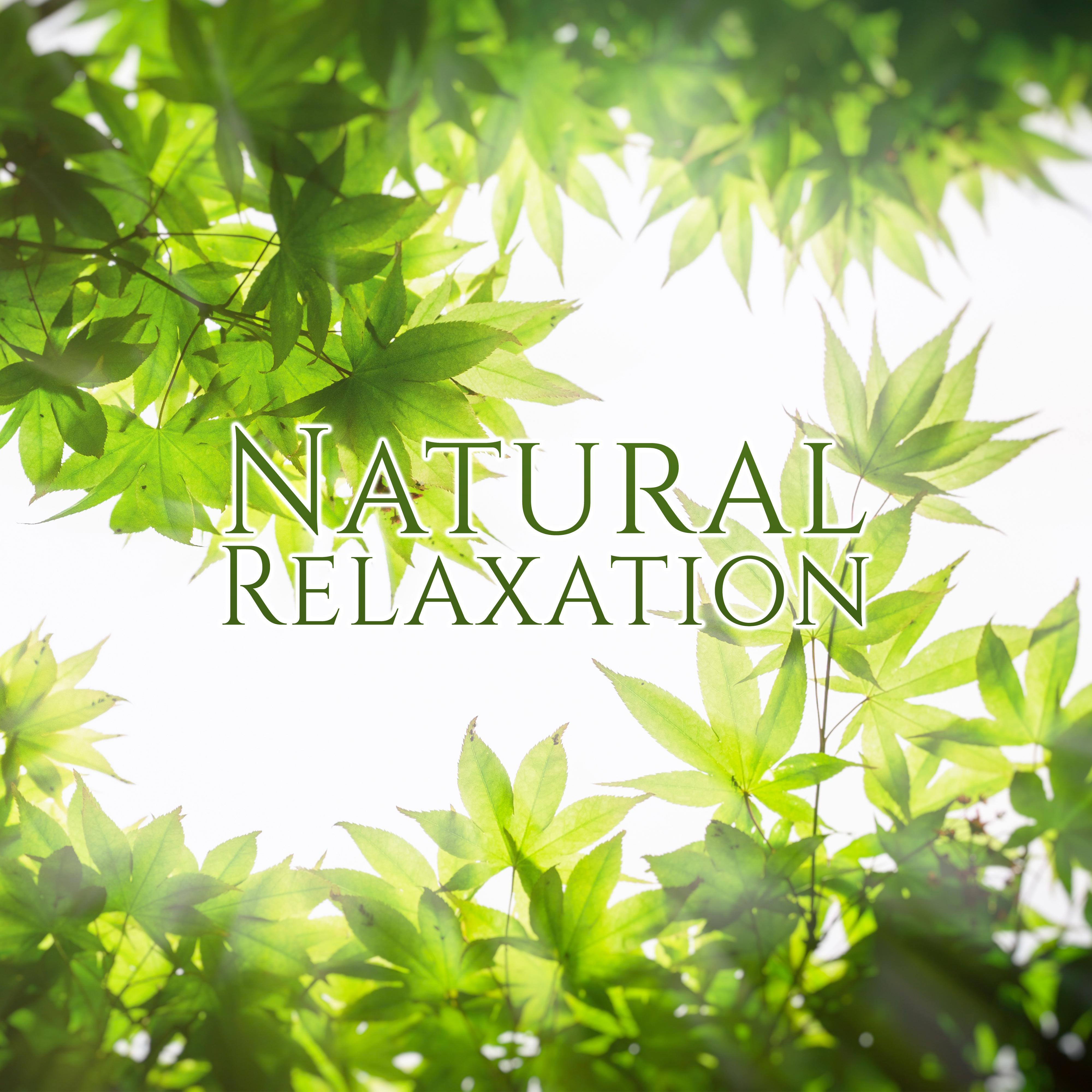 Natural Relaxation  Healing Waves, Mind Calmness, Stress Relief, Inner Peace
