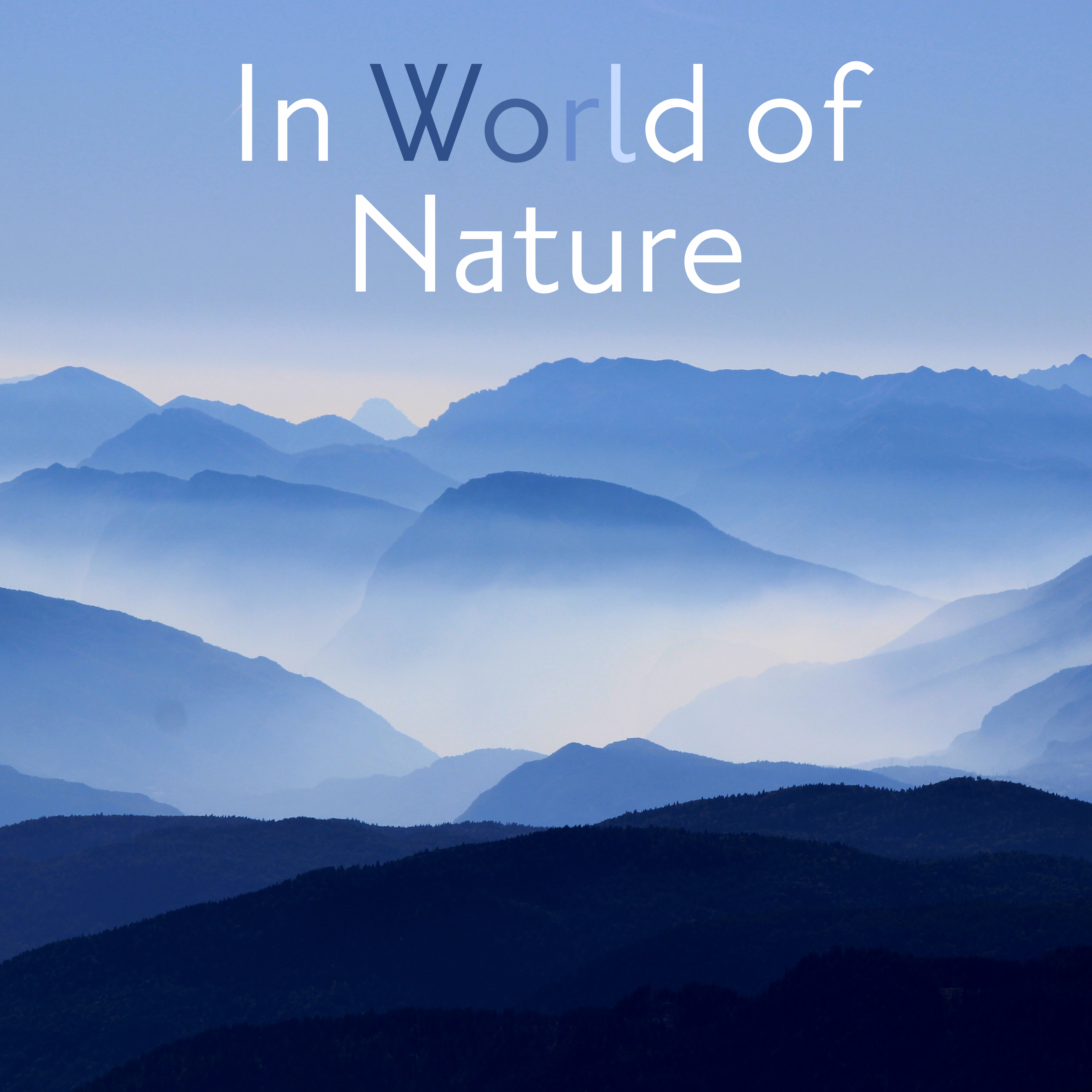 In World of Nature  Calm Meditation, Relaxing Music to Rest, Soothing Sounds, Singing Birds, Pure Waves, Delicate Rain, Zen